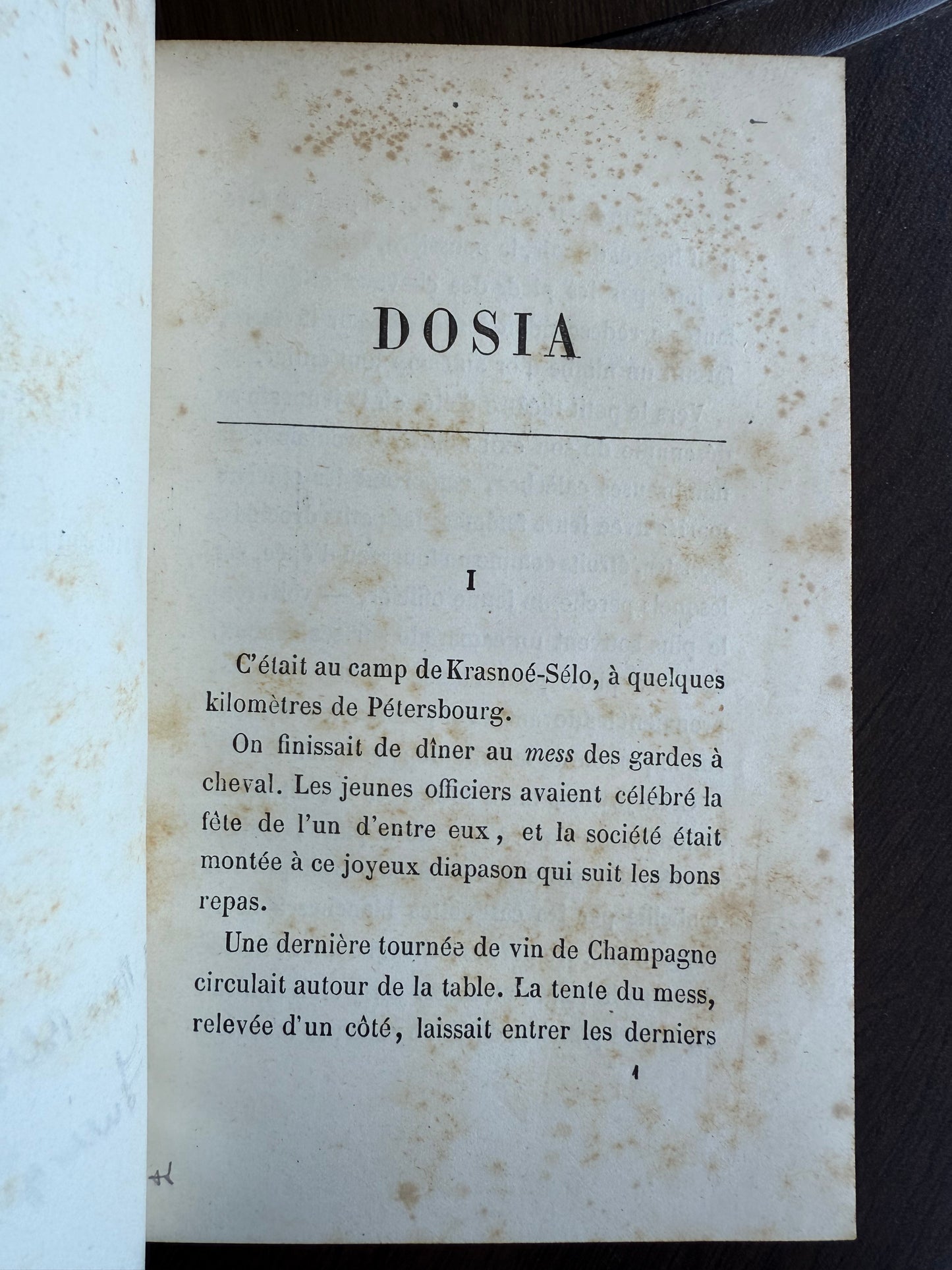 Dosia, Antique French Leather Book
