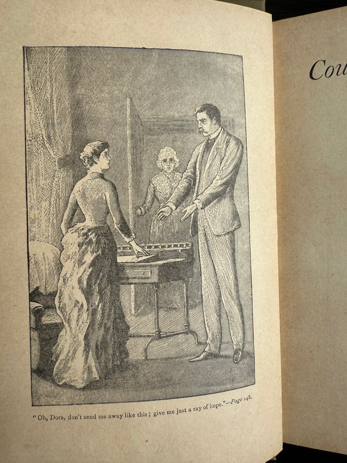 Cousin Dora by Emily Brodie, Antique Floral Book, London