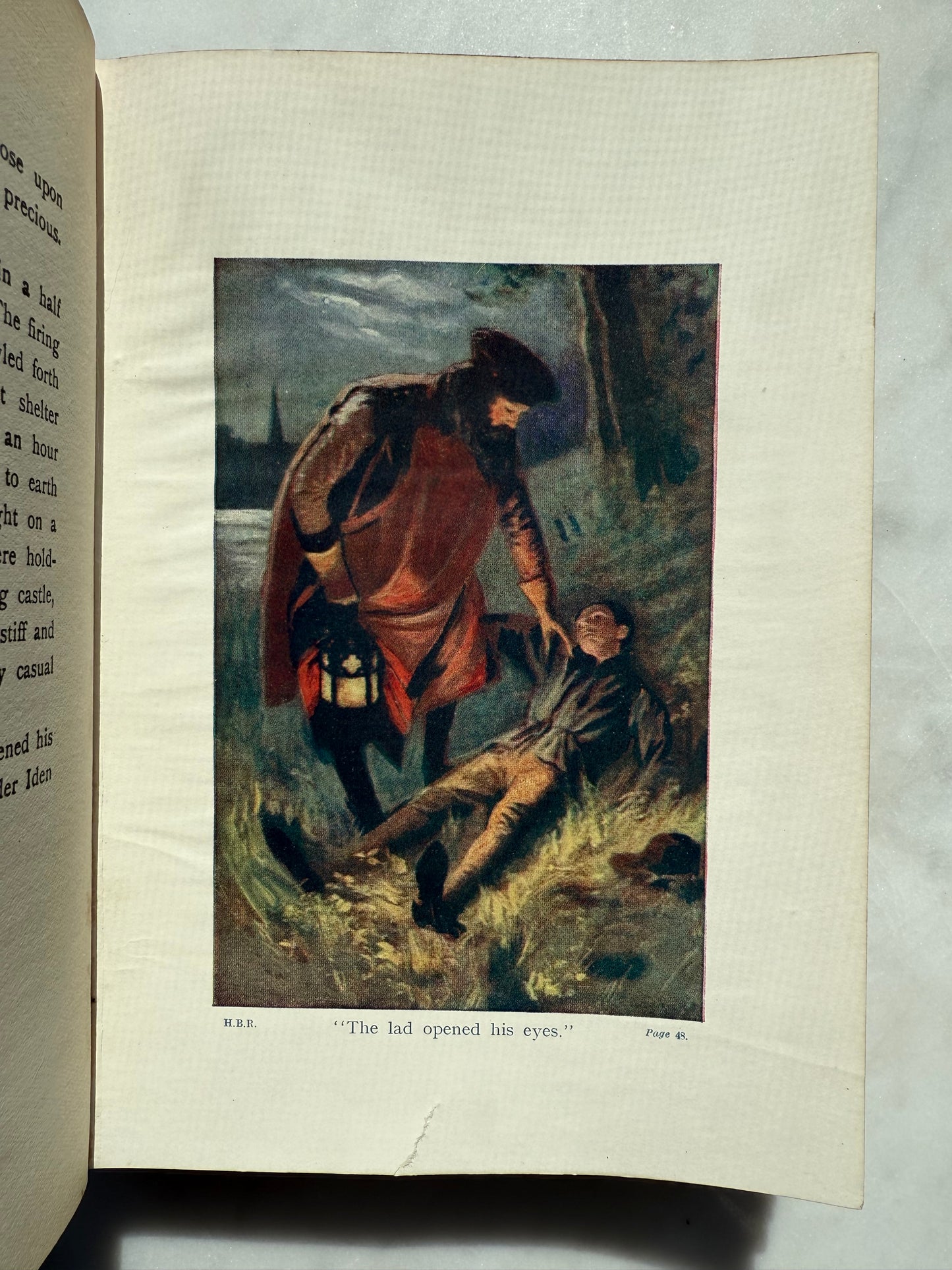 Held by Rebels, Decorative Floral Book