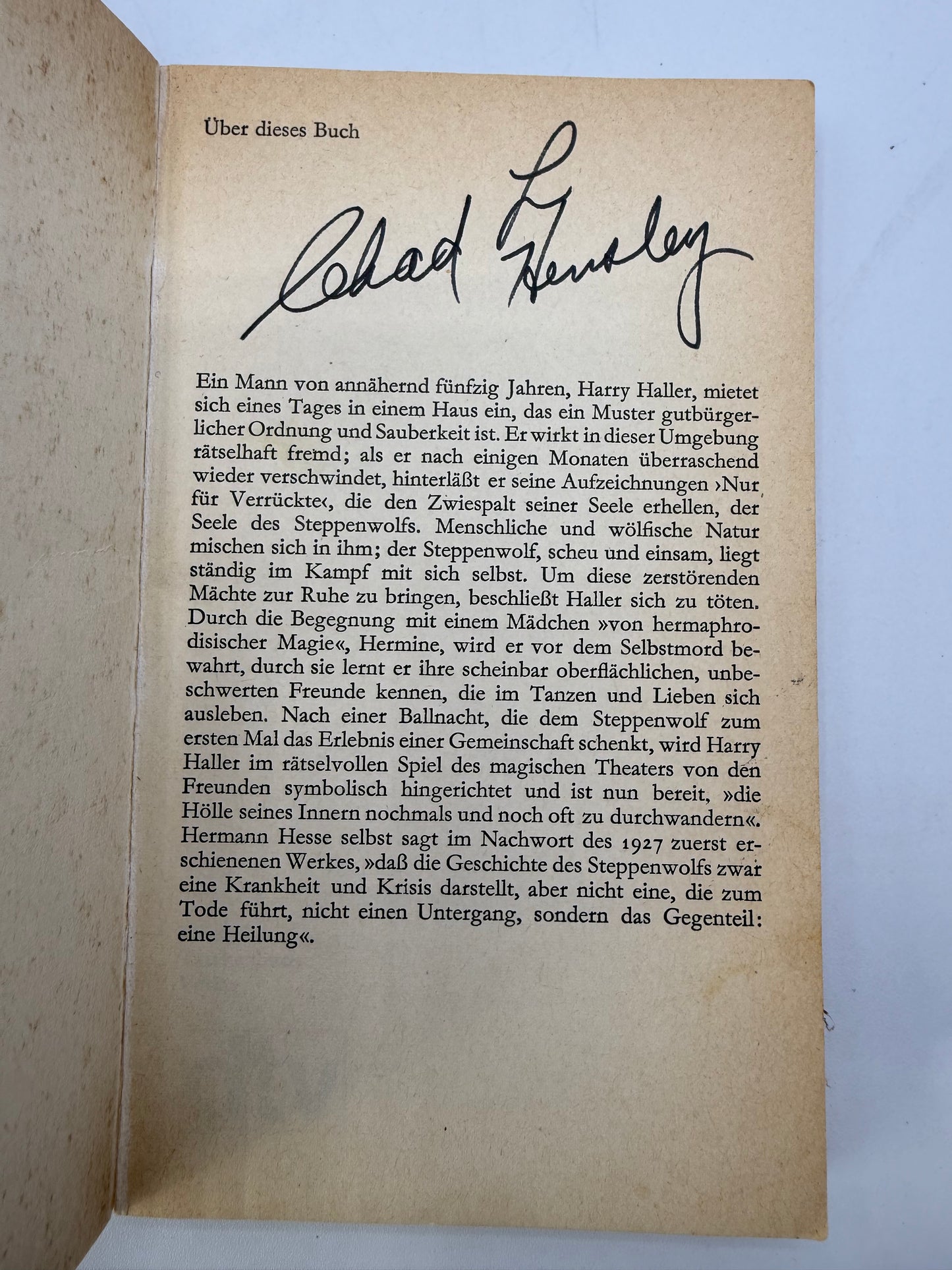 Vintage Paperback Bookshelf Display Lot, Hermann Hesse, Solzhenitsyn