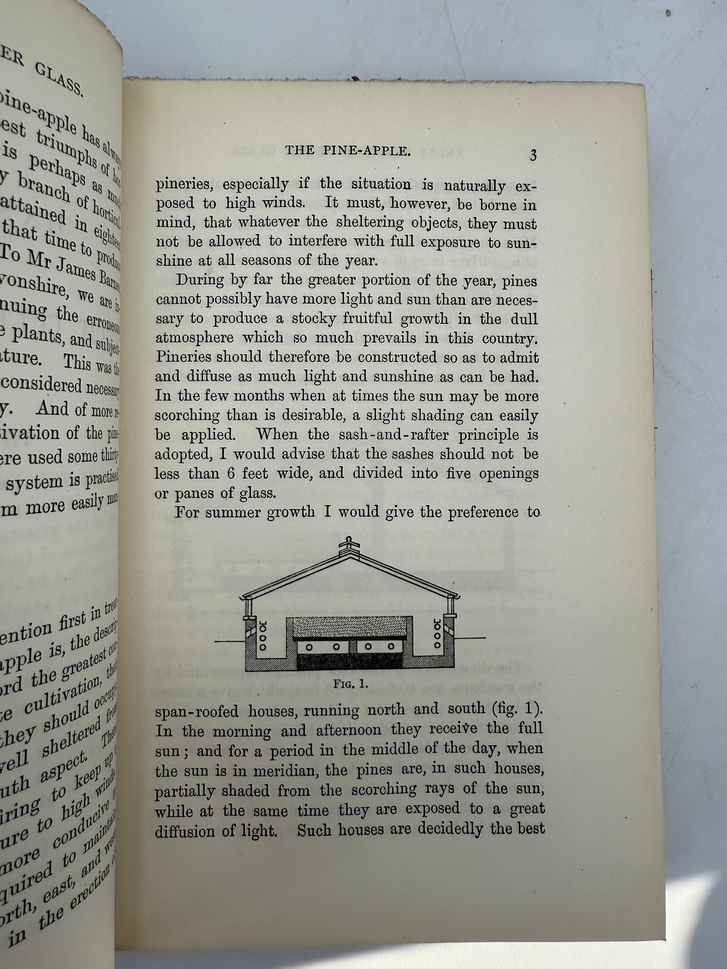 Handy Book of Fruit Culture Under Glass, 1881