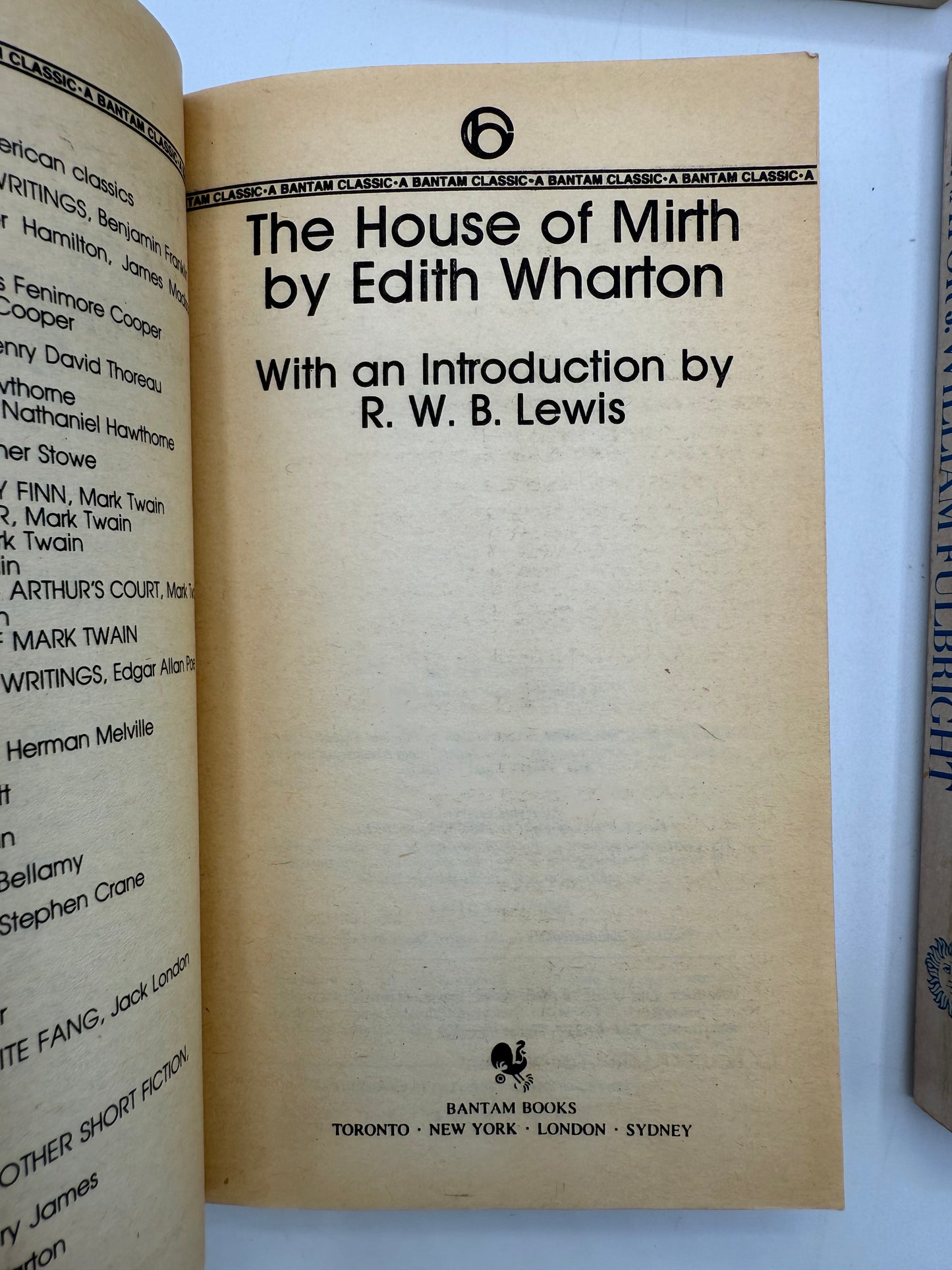 Vintage Paperback Bookshelf Display Lot, Woolf, Wharton