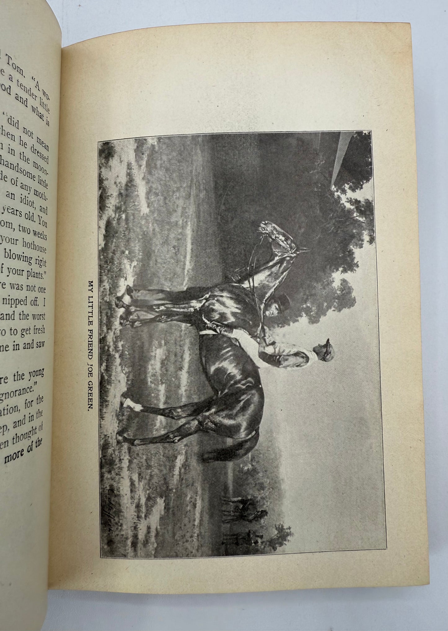Black Beauty, Late 19th Century Edition