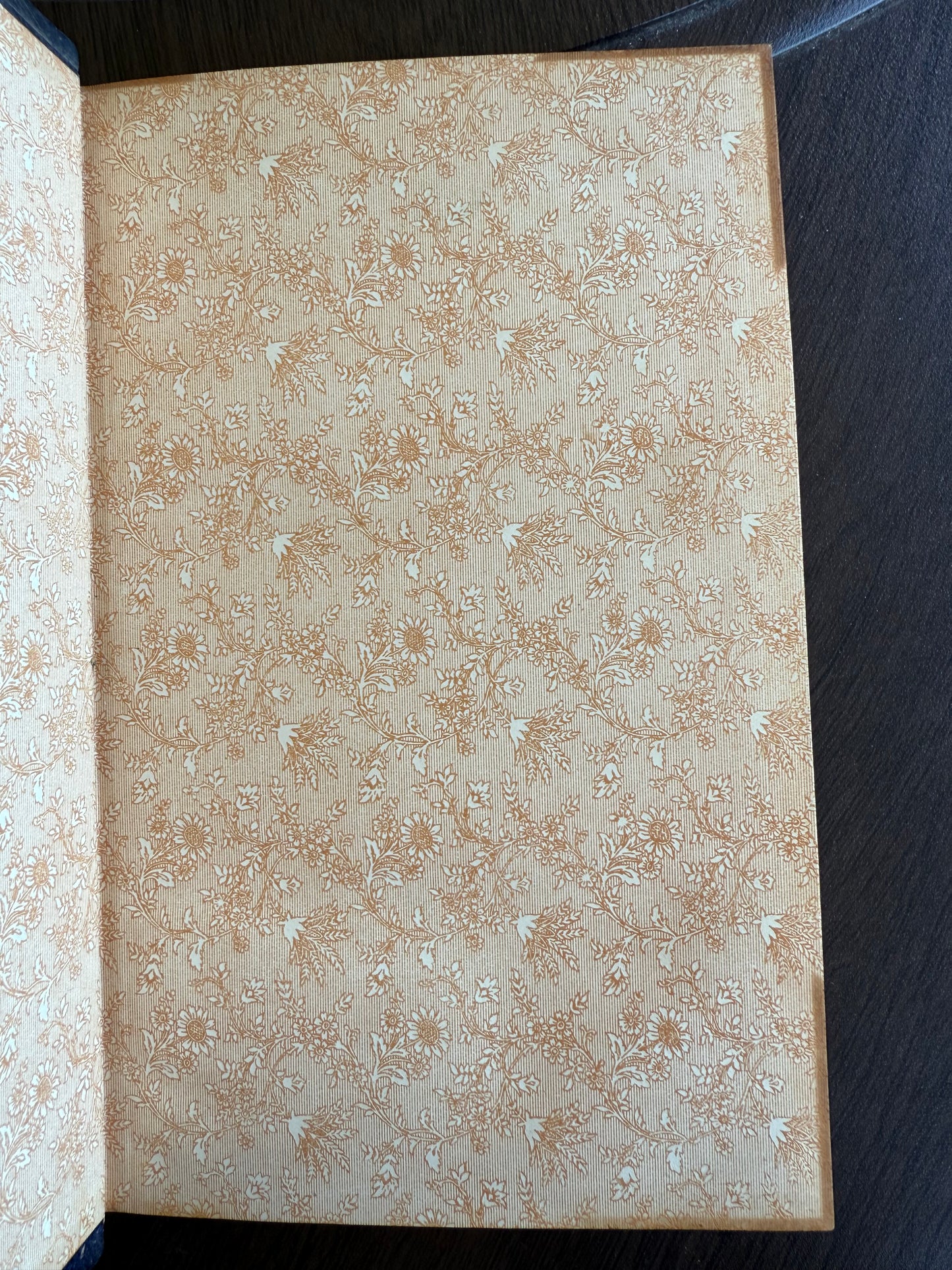 Dosia, Antique French Leather Book
