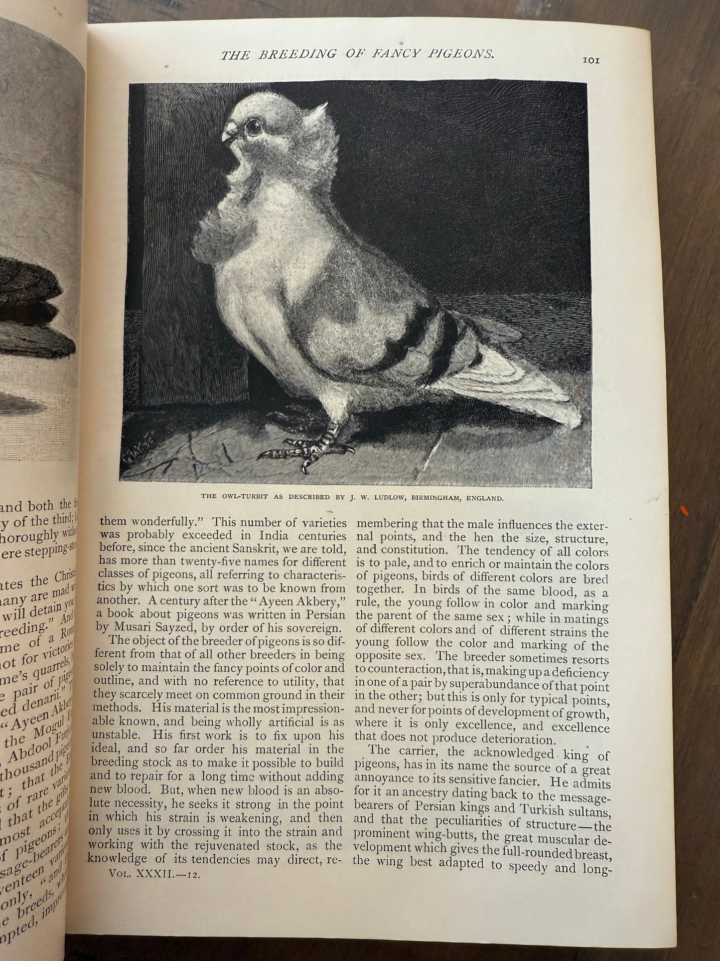 The Century Illustrated Monthly Magazine, 1885 & 1886
