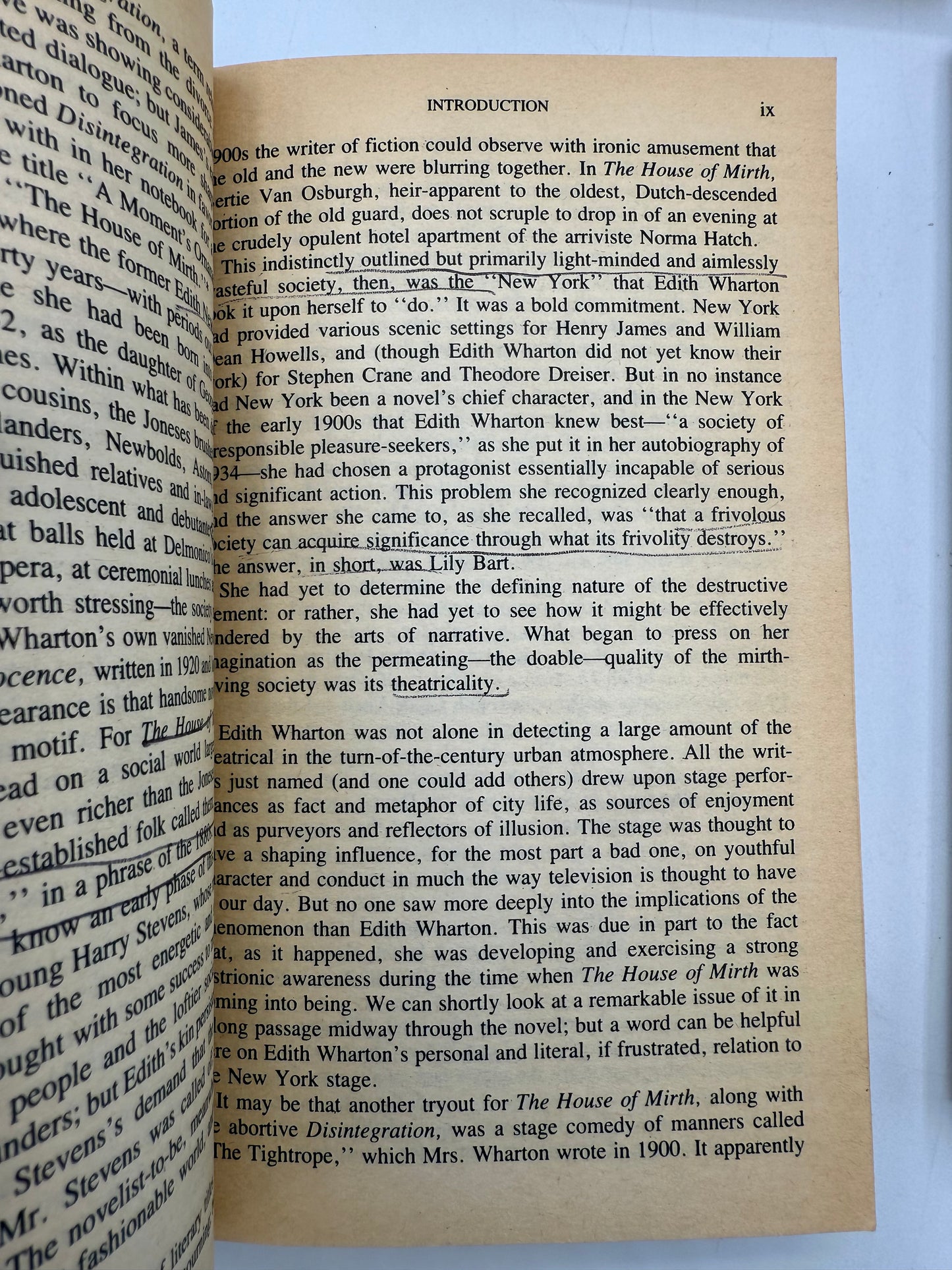 Vintage Paperback Bookshelf Display Lot, Woolf, Wharton