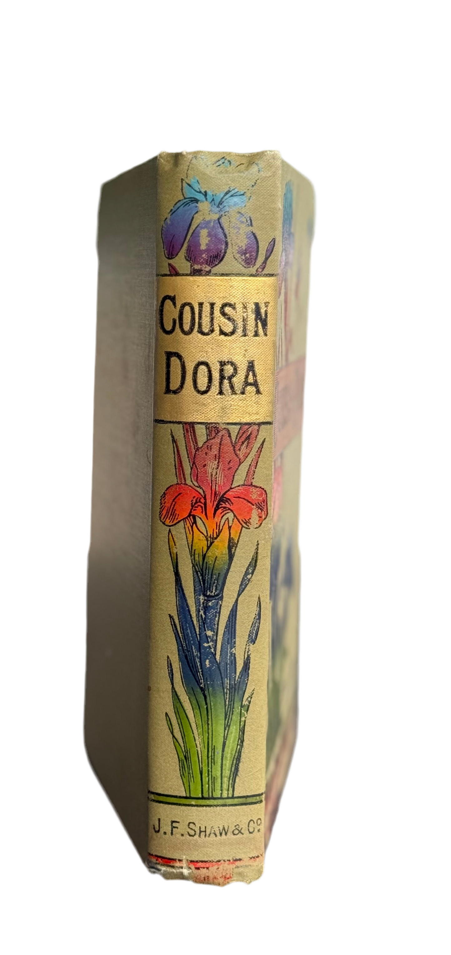 Cousin Dora by Emily Brodie, Antique Floral Book, London