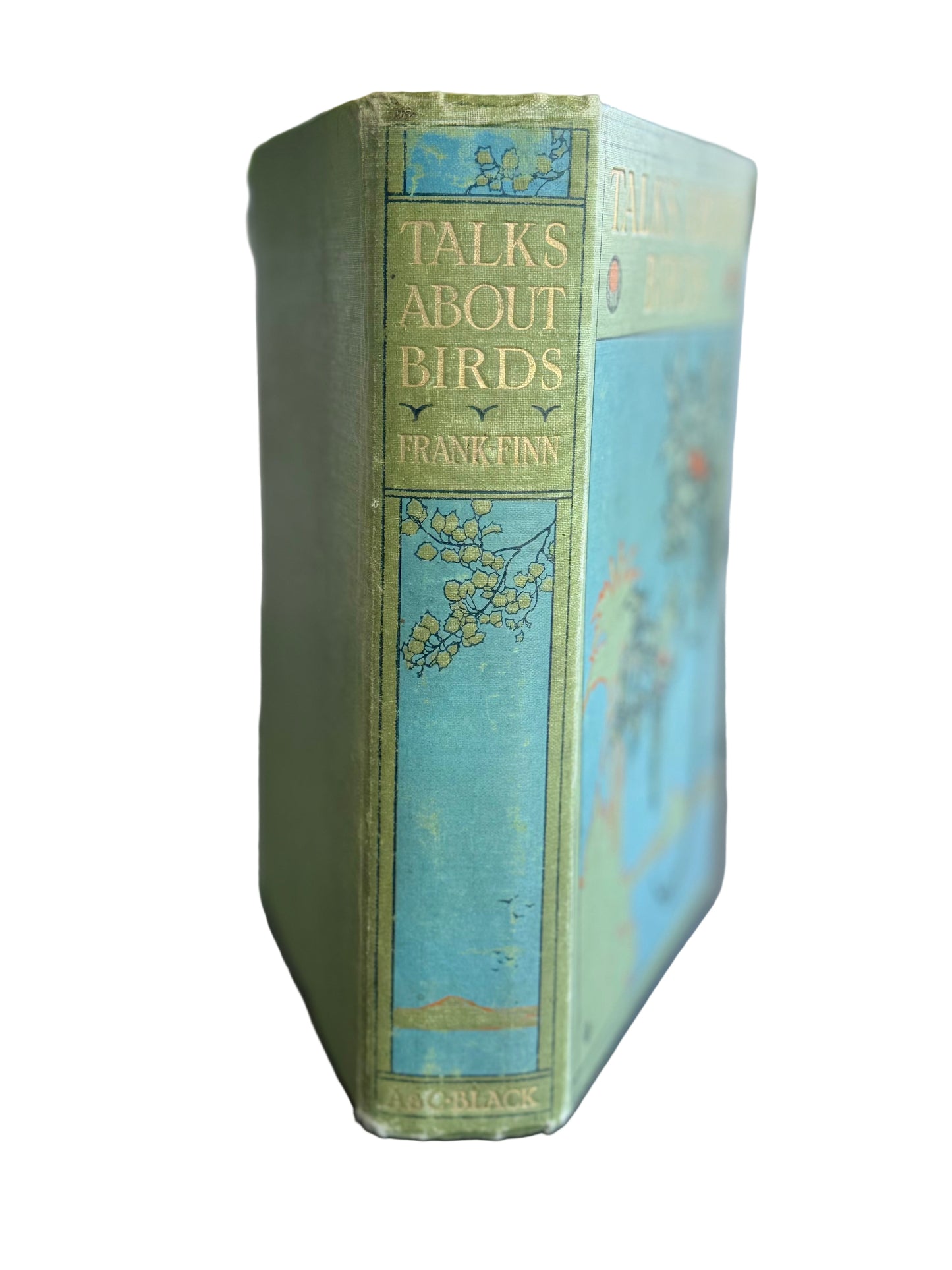 Talks About Birds, 1911