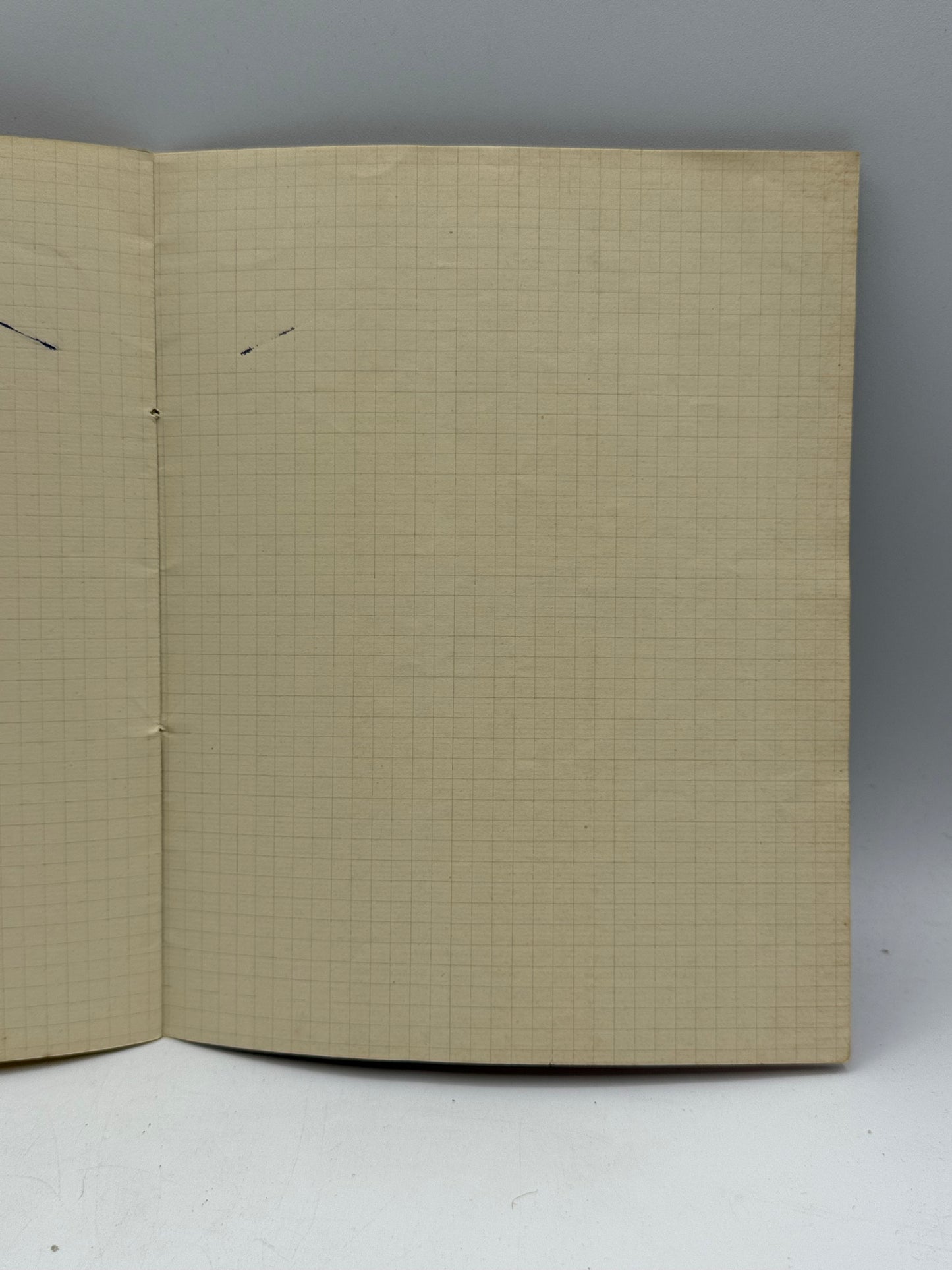 Vintage French Composition Notebook