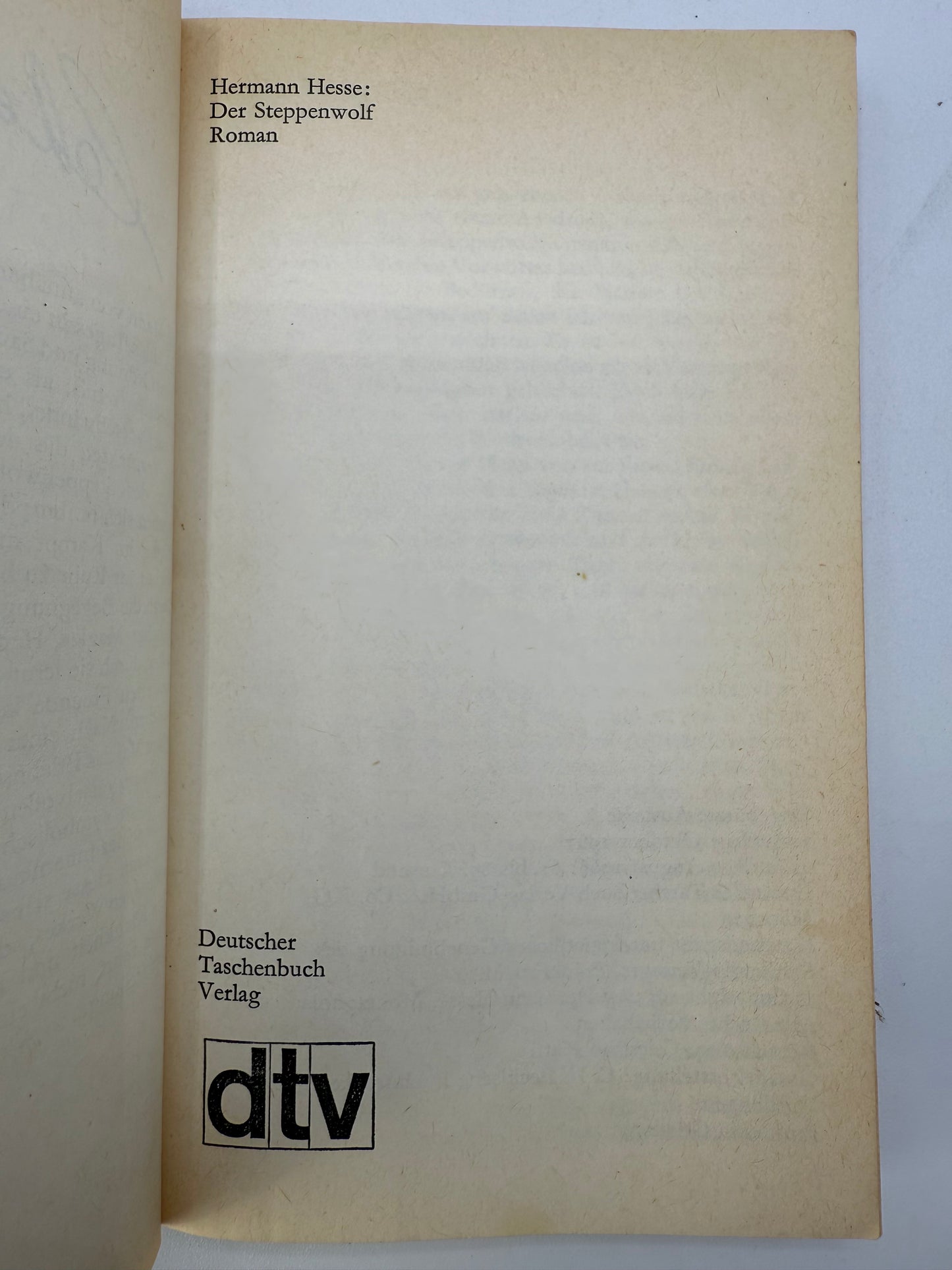 Vintage Paperback Bookshelf Display Lot, Hermann Hesse, Solzhenitsyn