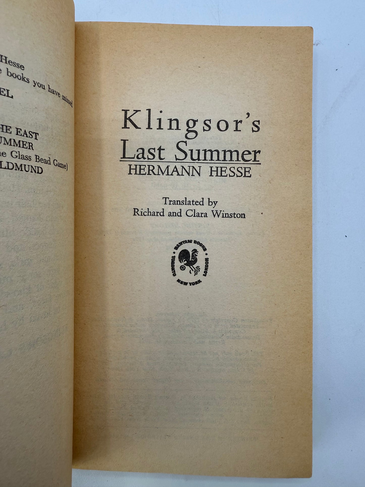 Vintage Paperback Bookshelf Display Lot, Hermann Hesse, Solzhenitsyn