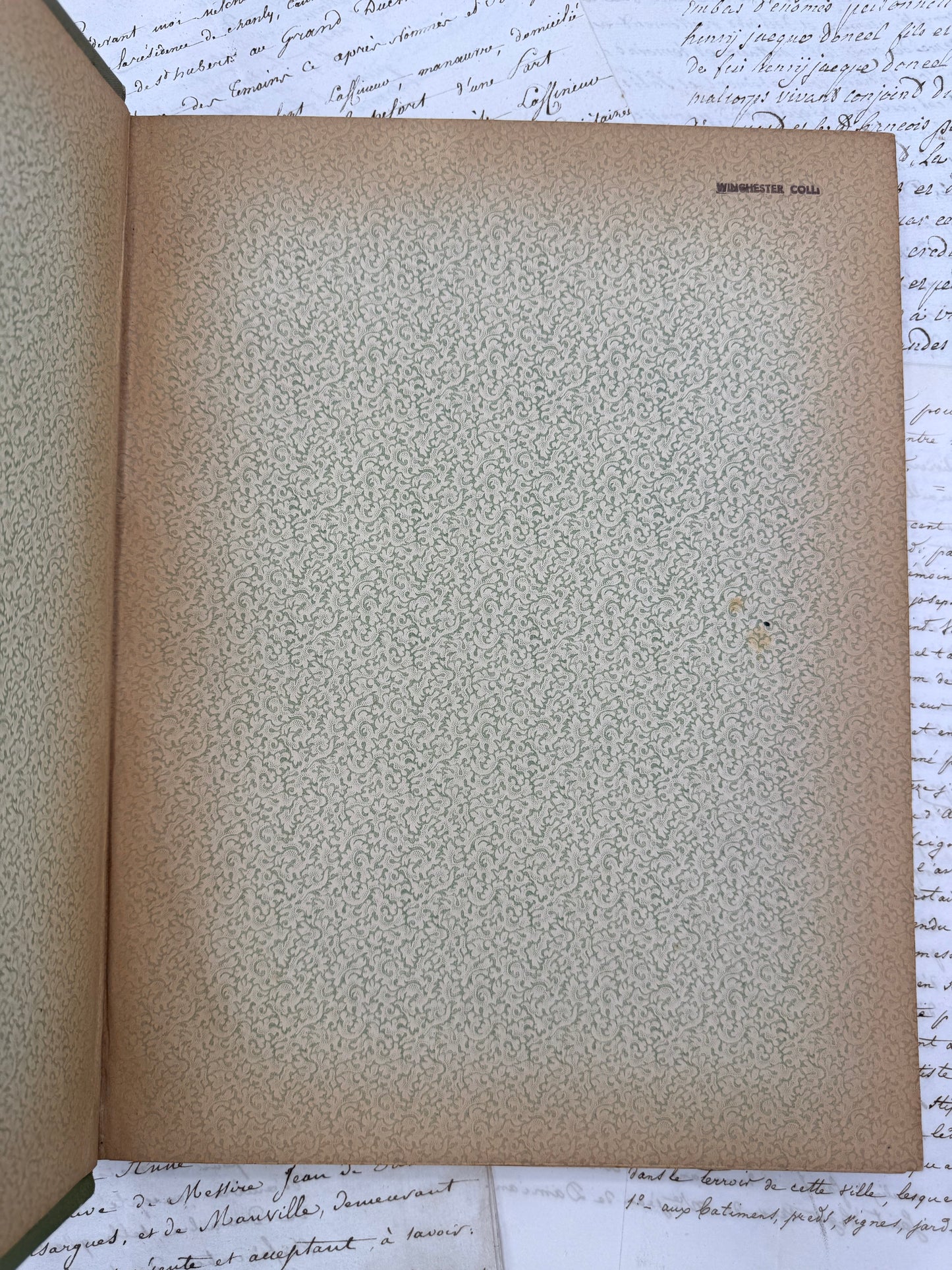 Egypt Illustrated by Samuel Manning, 1891