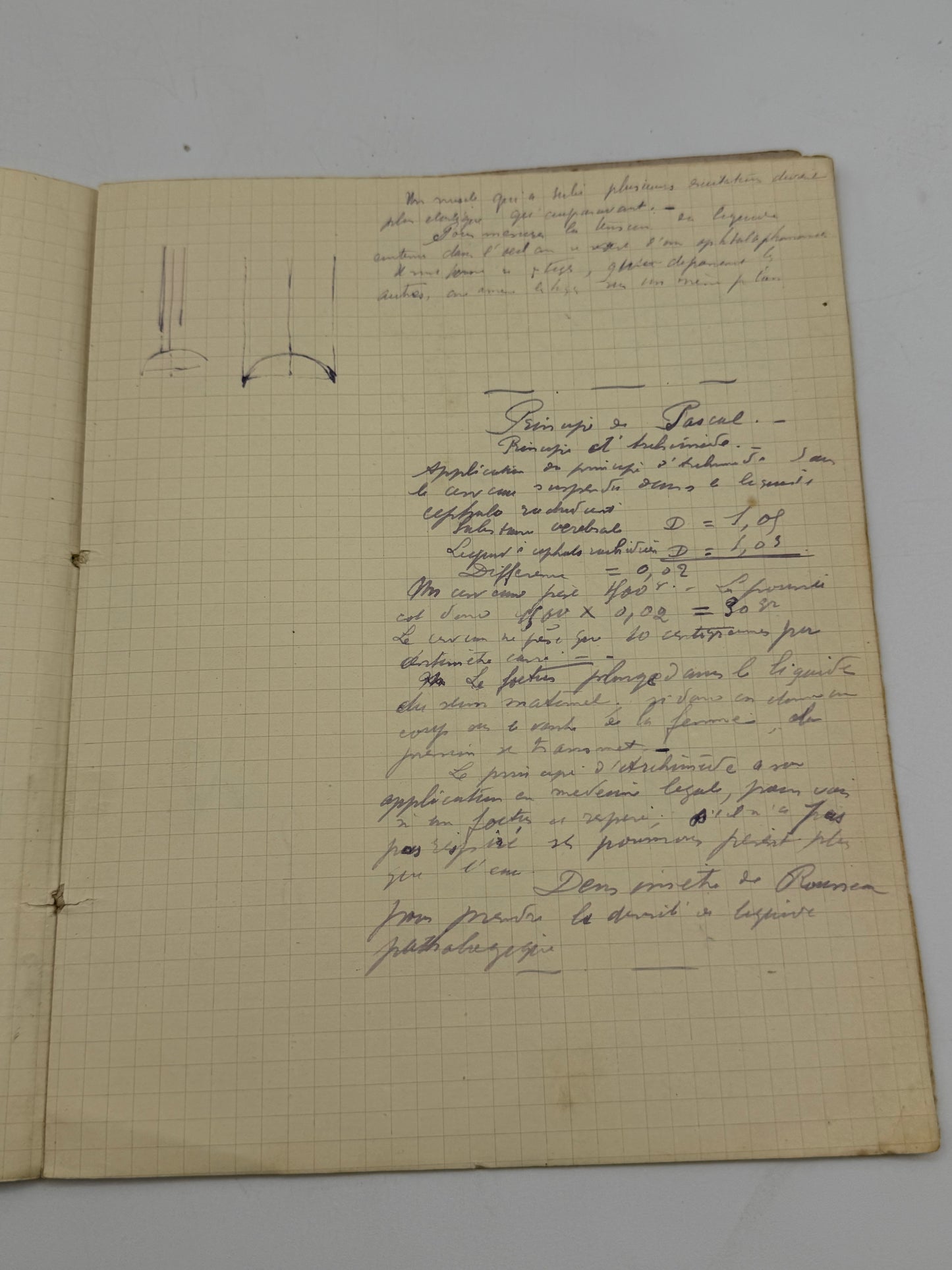 Vintage French Composition Notebook