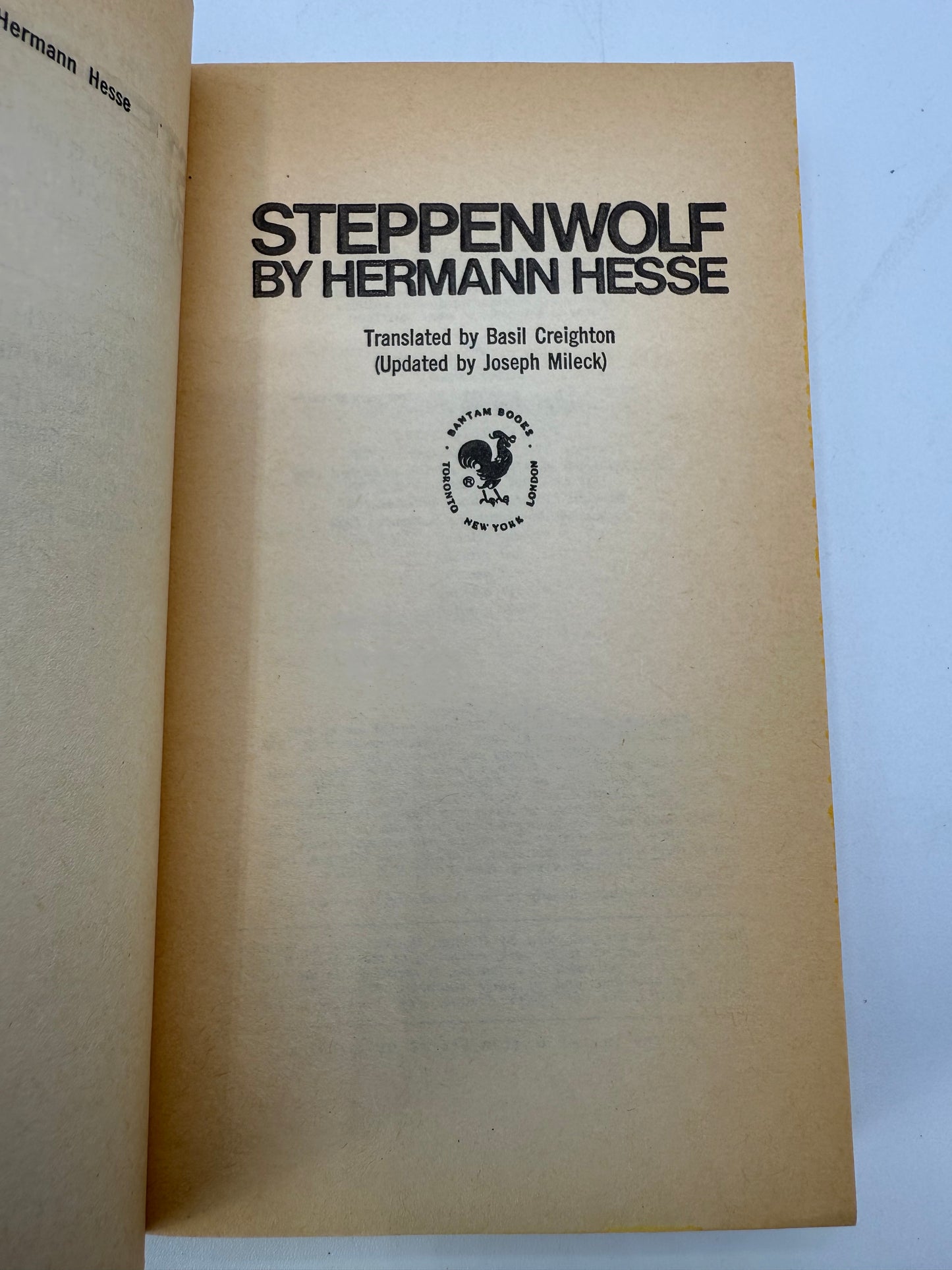 Vintage Paperback Bookshelf Display Lot, Hermann Hesse, Solzhenitsyn