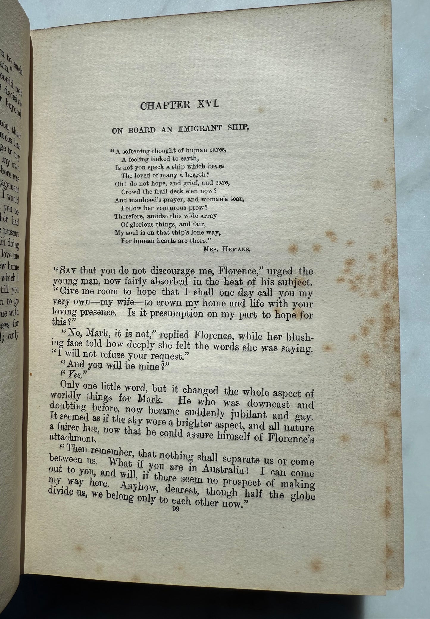 Florence Godfrey's Faith, Decorative Floral Book