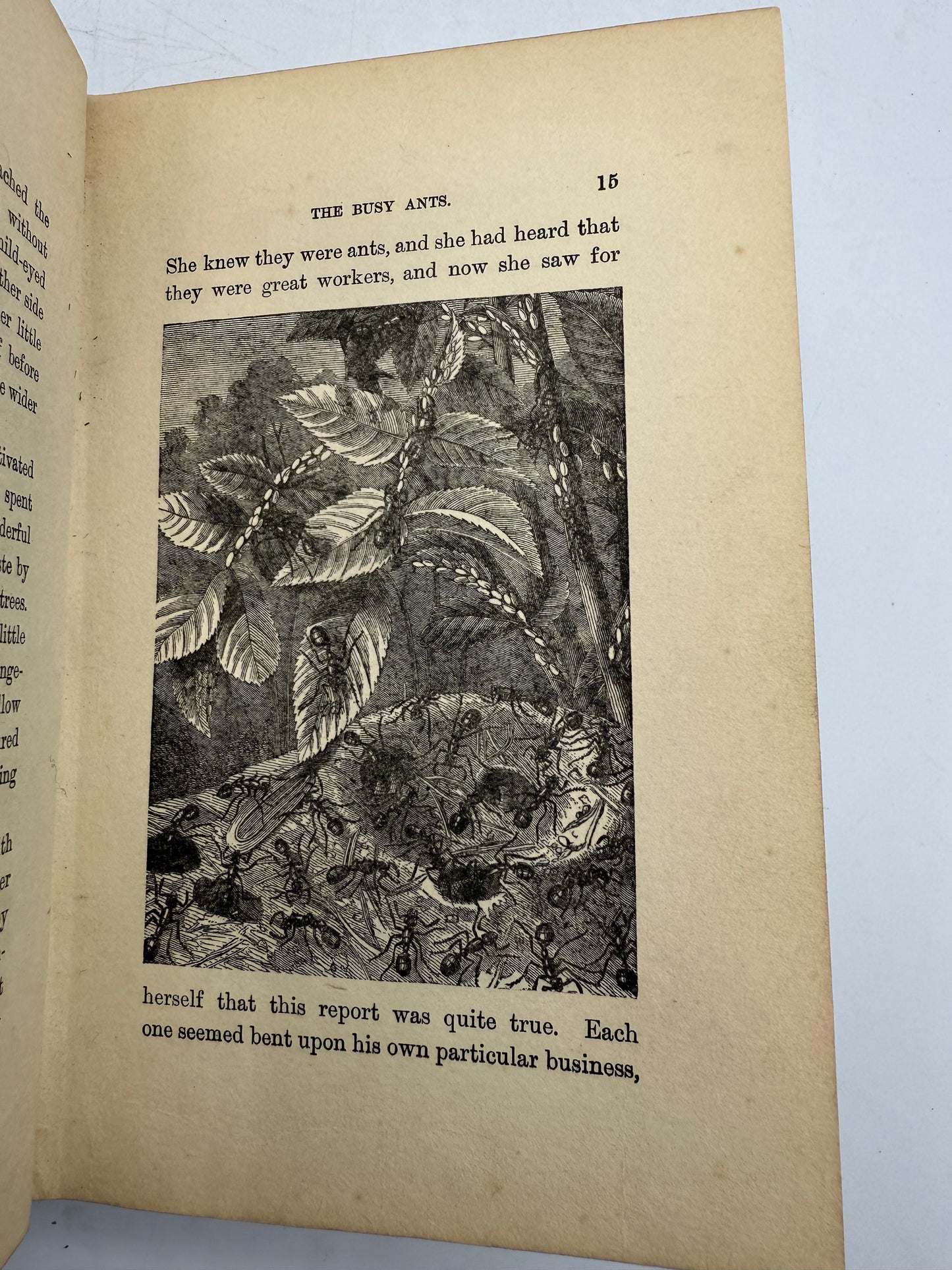Our Dolly, Floral Antique Book