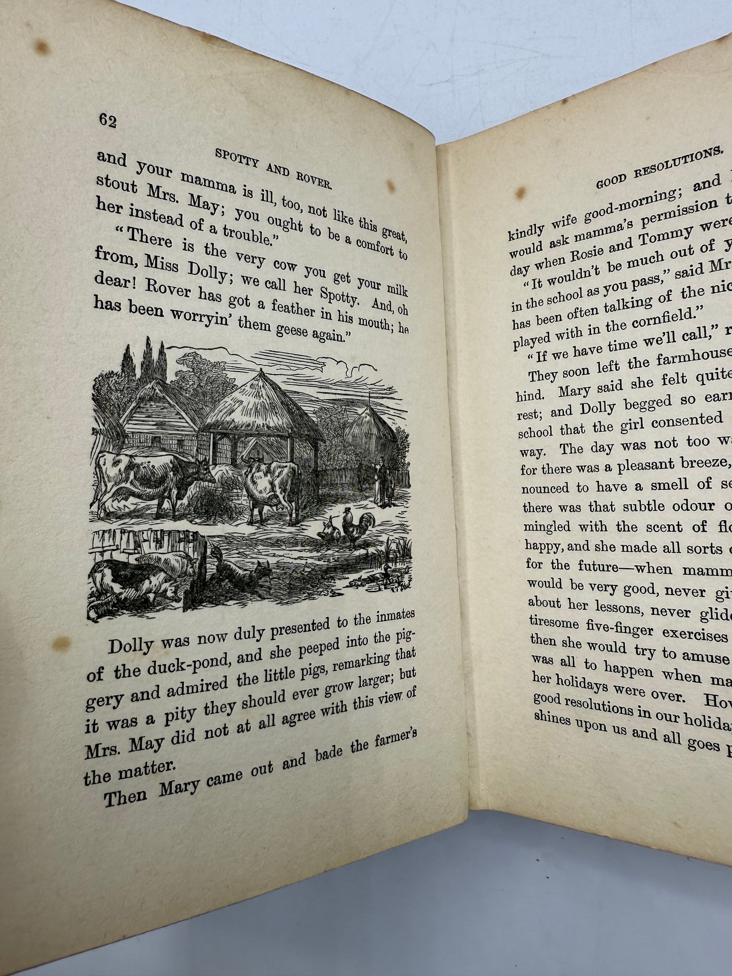 Our Dolly, Floral Antique Book