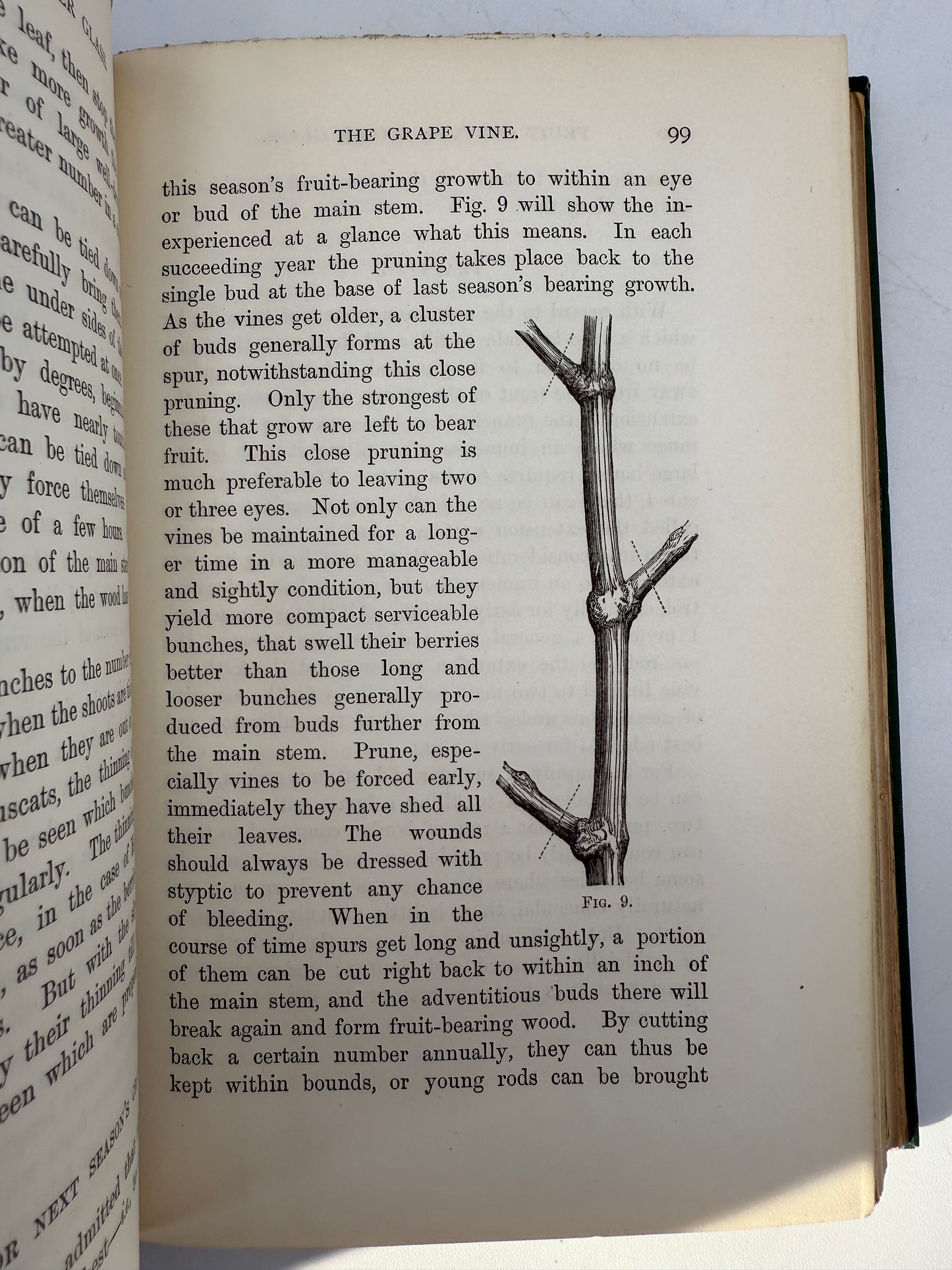 Handy Book of Fruit Culture Under Glass, 1881