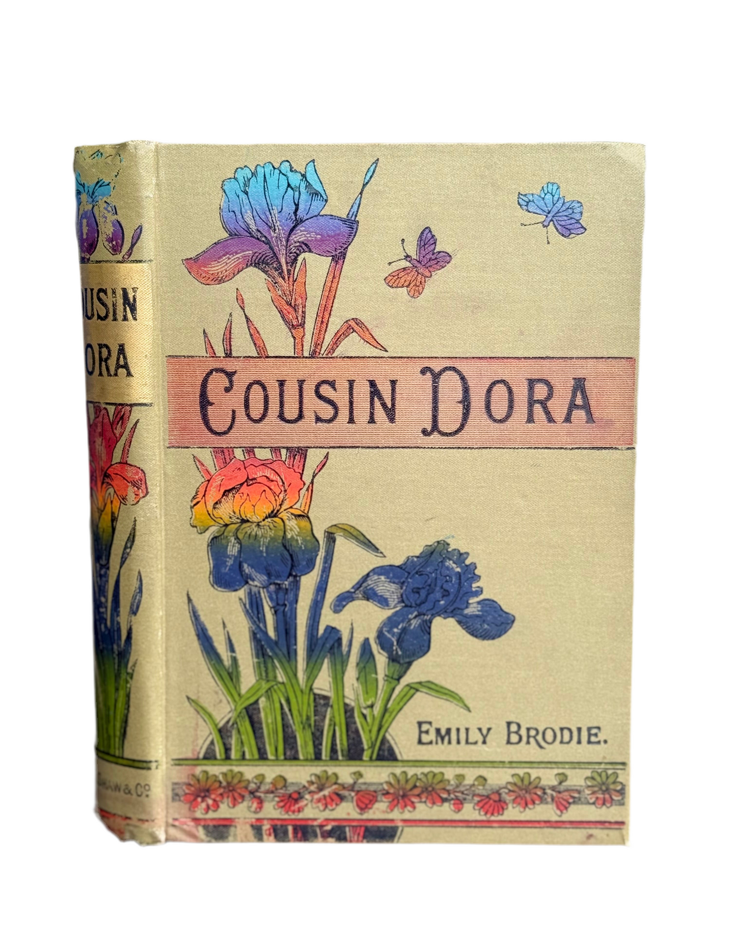 Cousin Dora by Emily Brodie, Antique Floral Book, London