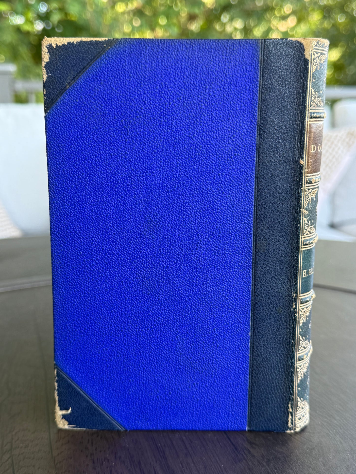 Dosia, Antique French Leather Book