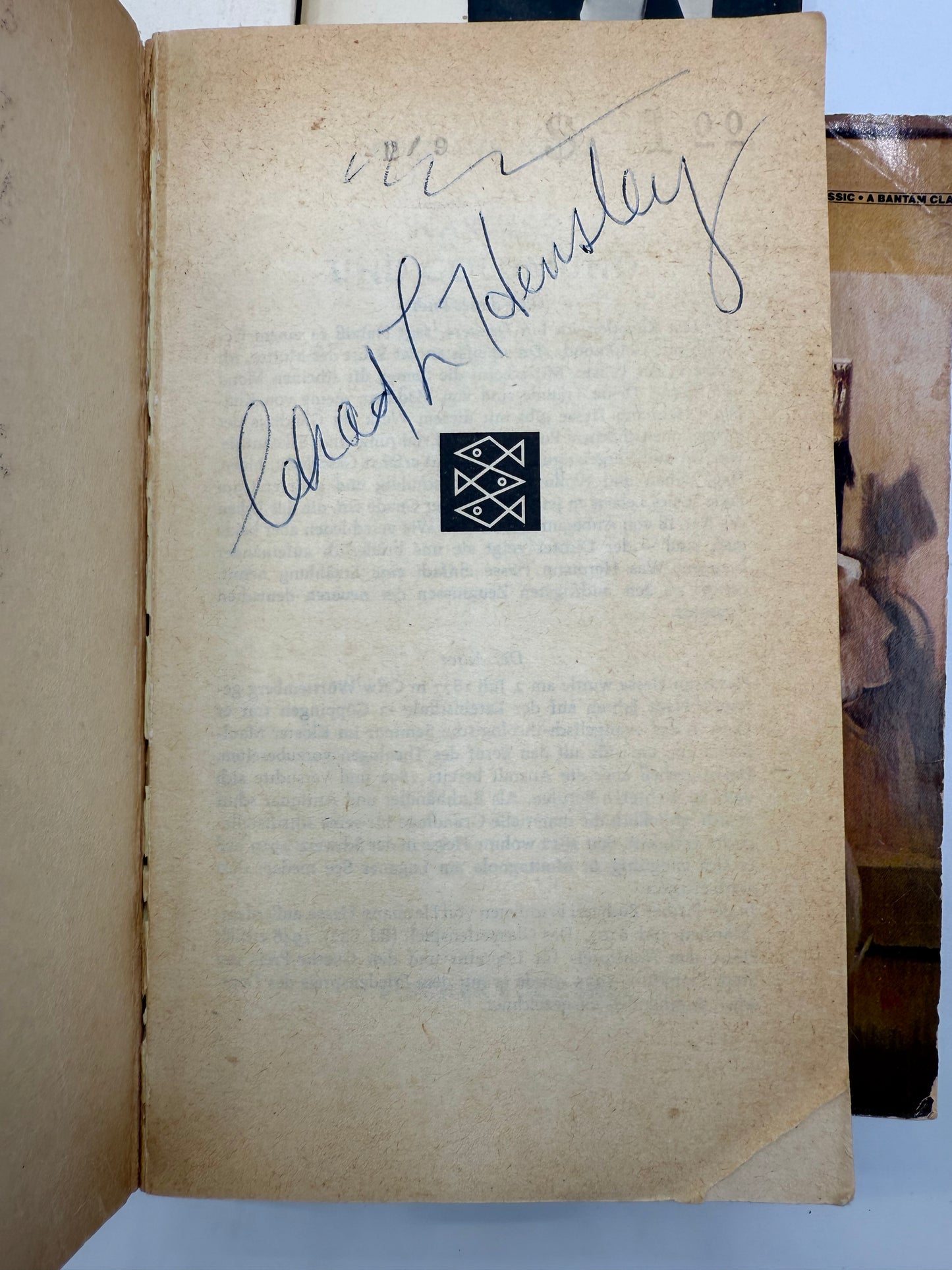 Vintage Paperback Bookshelf Display Lot, Woolf, Wharton