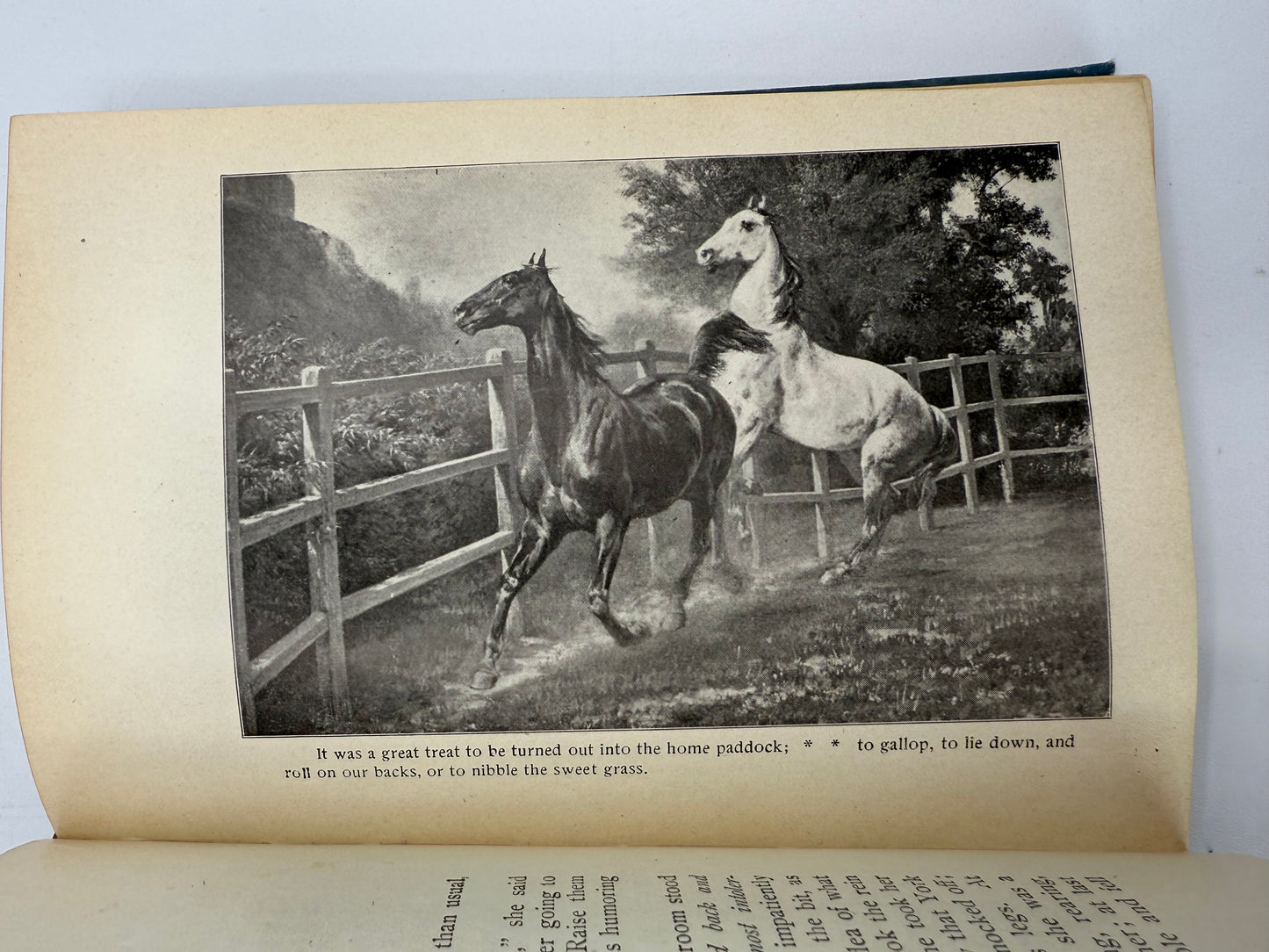 Black Beauty, Late 19th Century Edition