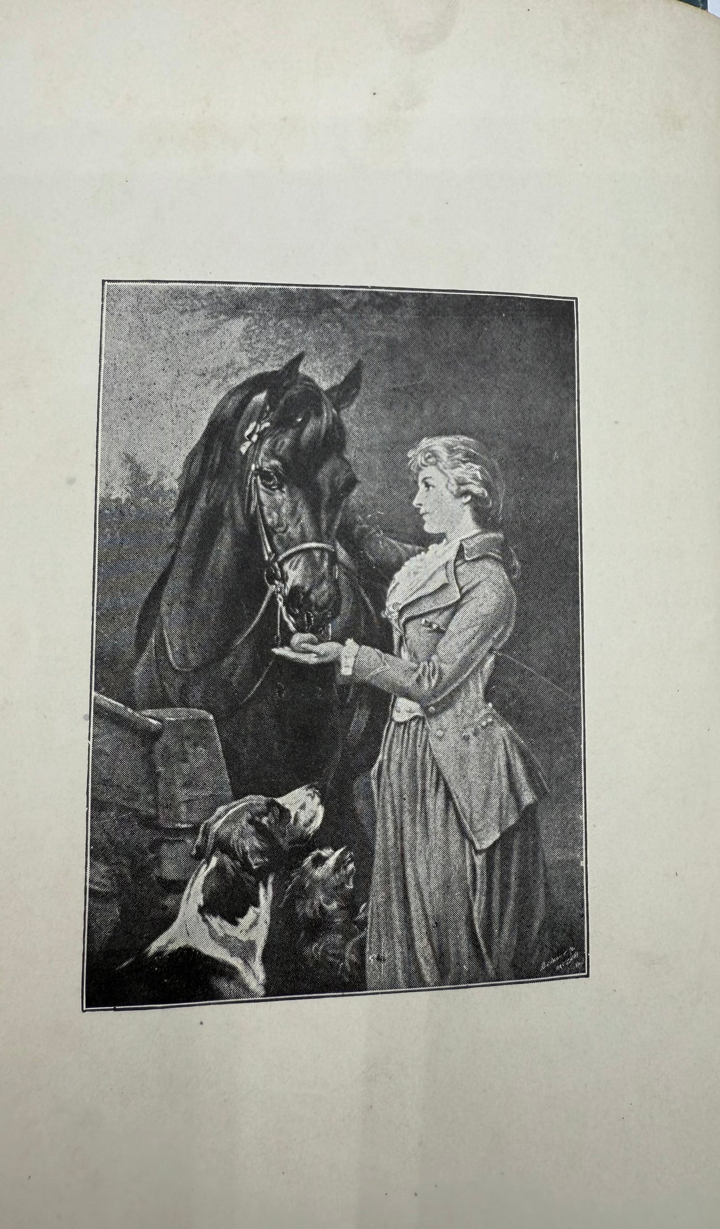 Black Beauty, Late 19th Century Edition