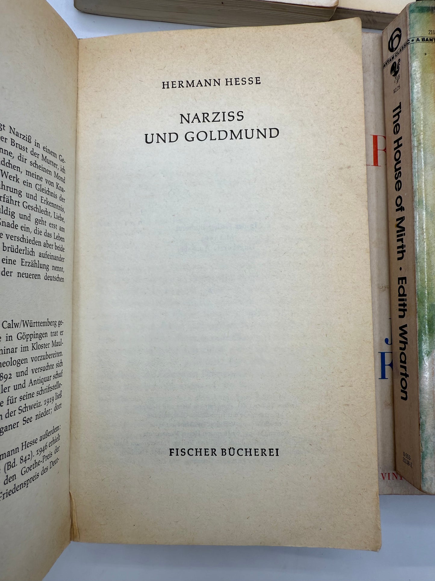 Vintage Paperback Bookshelf Display Lot, Woolf, Wharton