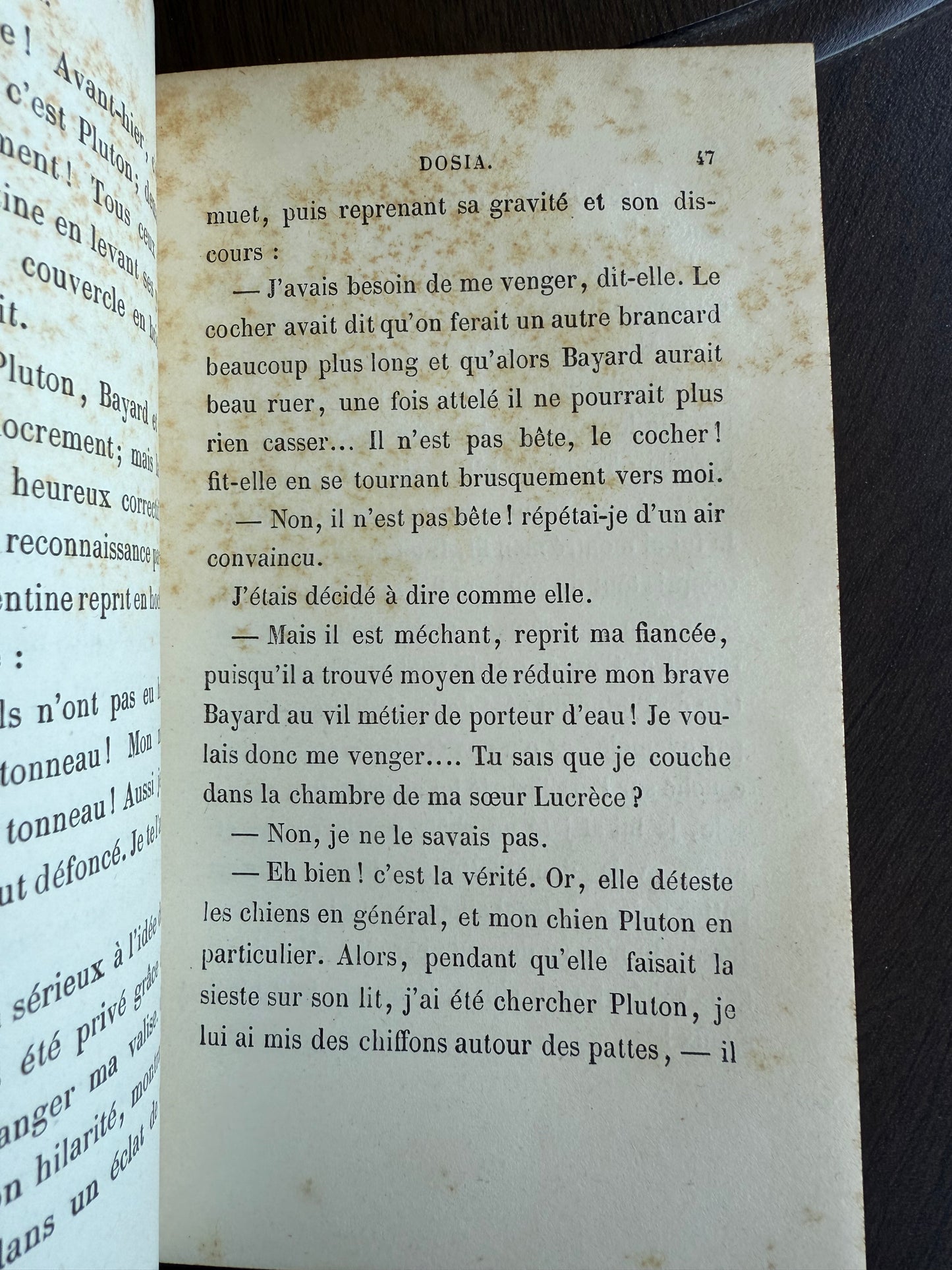 Dosia, Antique French Leather Book