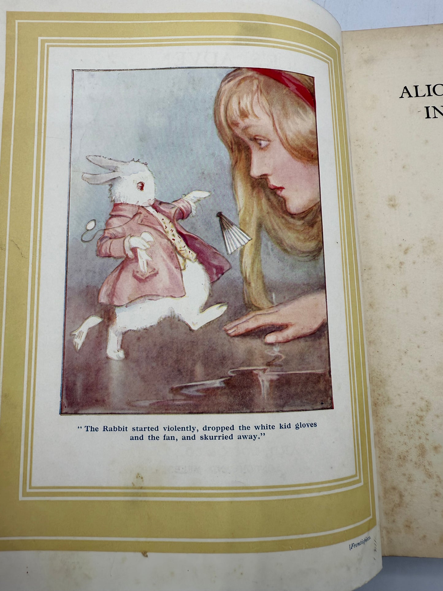 Vintage Alice in Wonderland, Illustrated