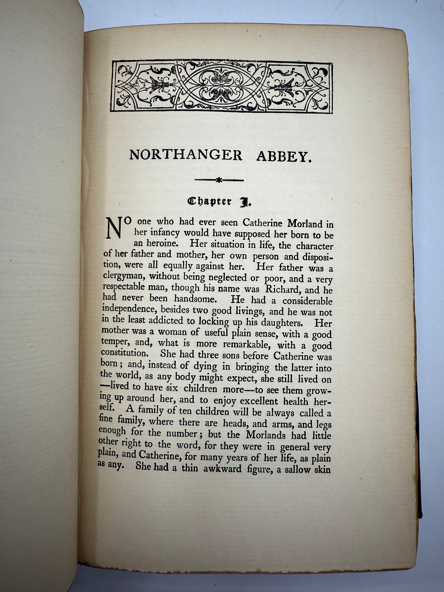 Jane Austen's Persuasion & Northanger Abbey, Antique Edition