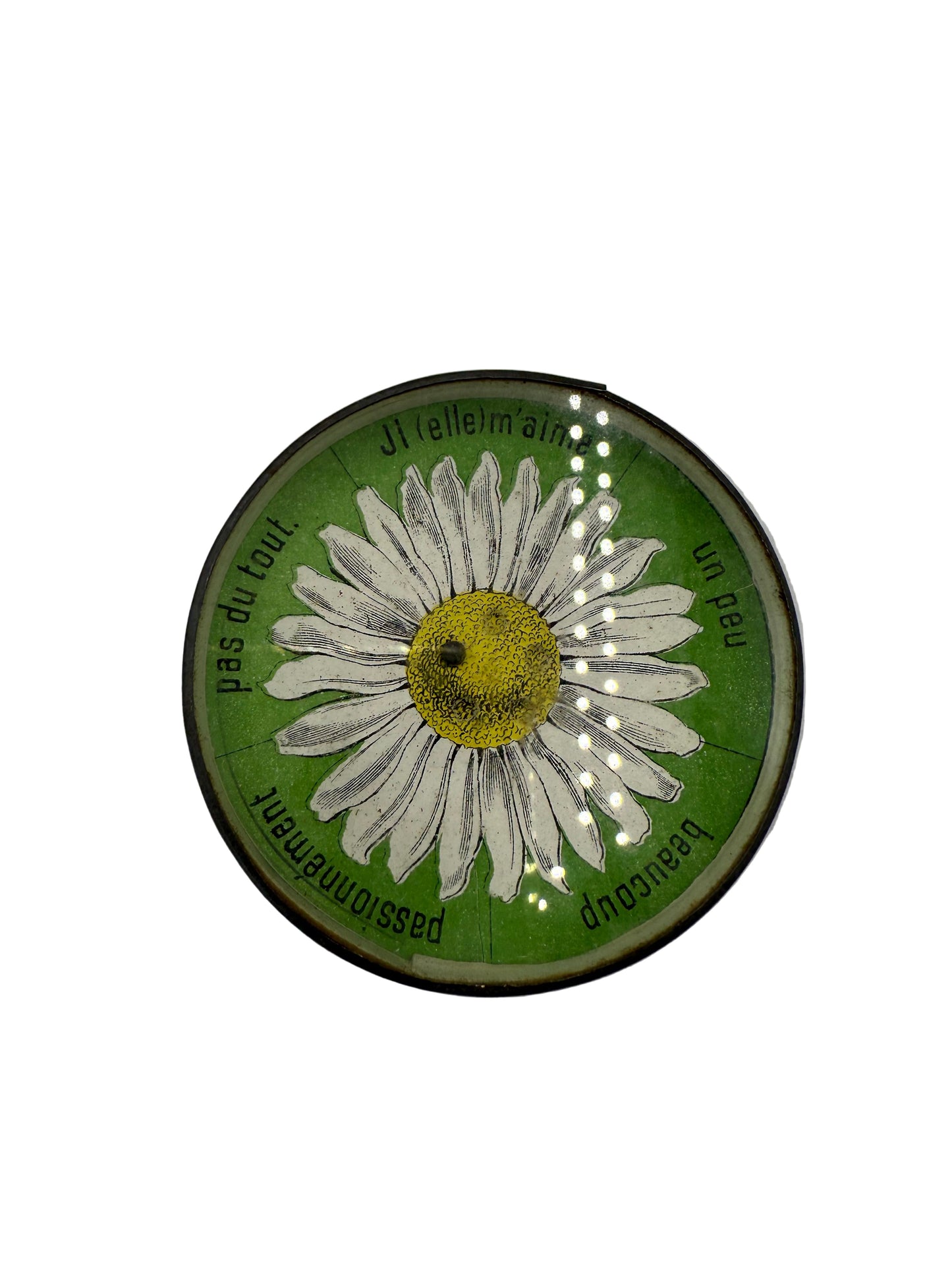 Circular green sign with a white flower design on a white background