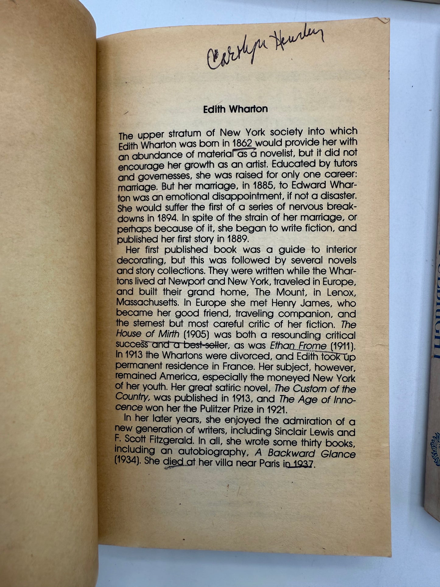 Vintage Paperback Bookshelf Display Lot, Woolf, Wharton