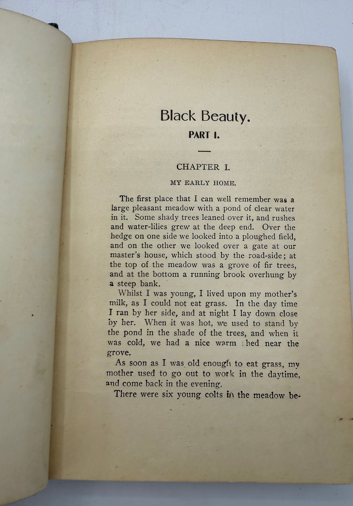 Black Beauty, Late 19th Century Edition