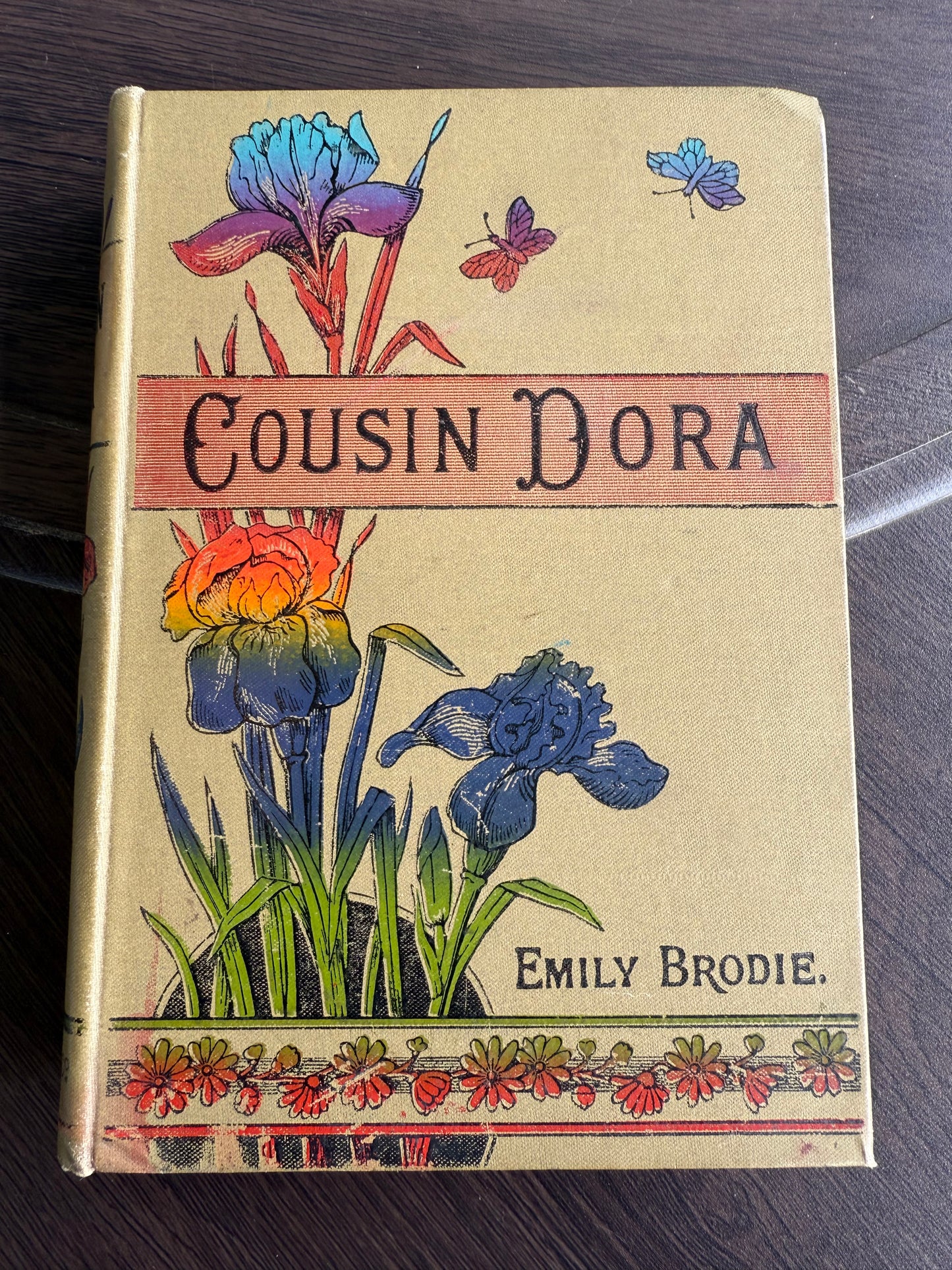 Cousin Dora by Emily Brodie, Antique Floral Book, London