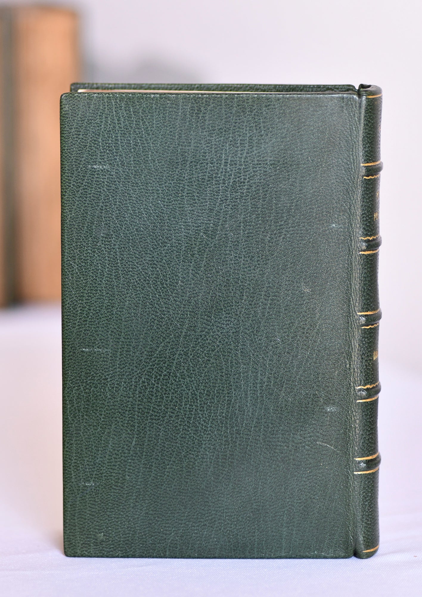 Antique Pride and Prejudice by Jane Austen