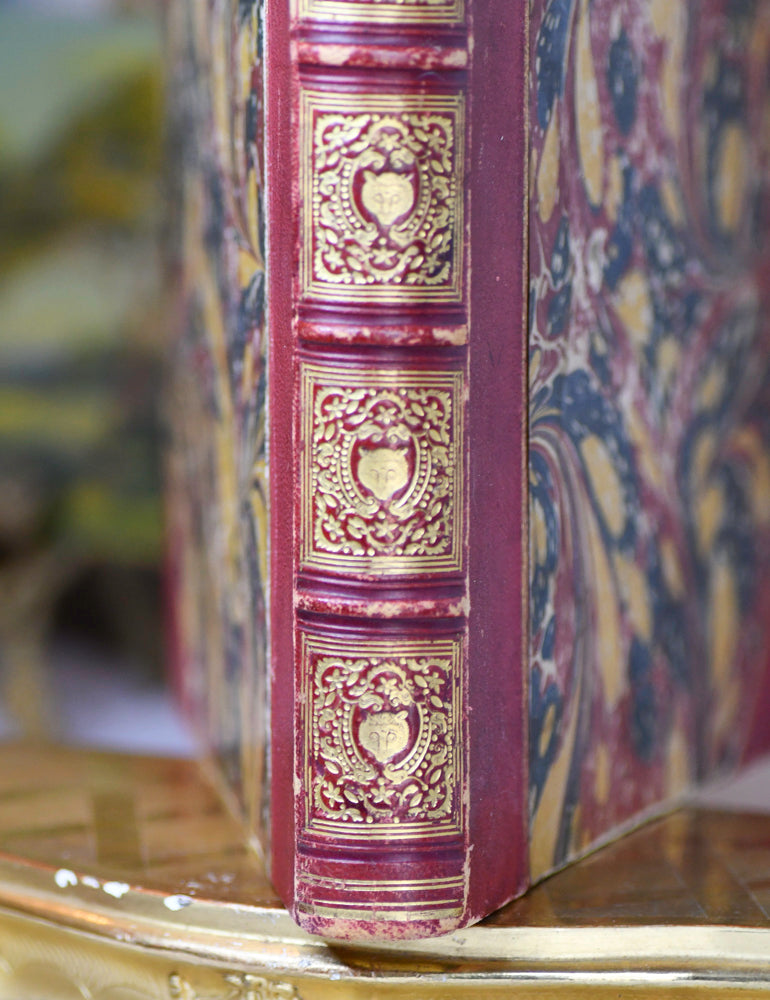 Wolfgang von Goethe's Fable, 1846