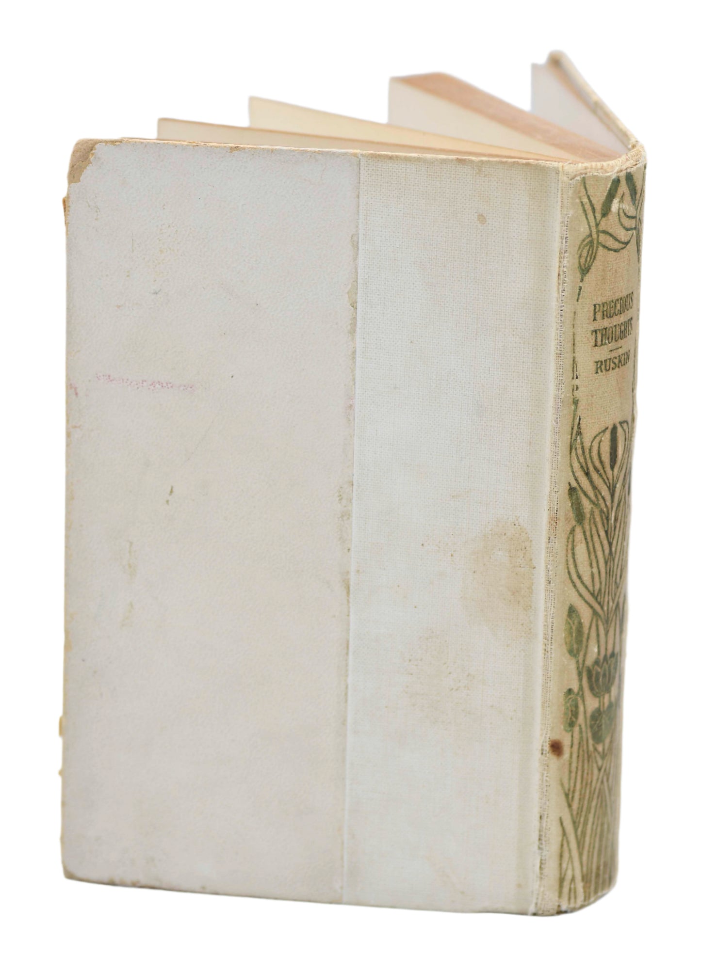 Precious Thoughts by John Ruskin, 1895