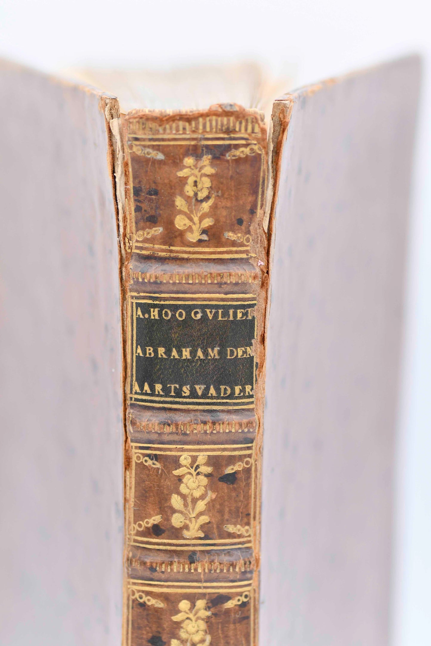 Abraham the Patriarch in XII, Dutch Language