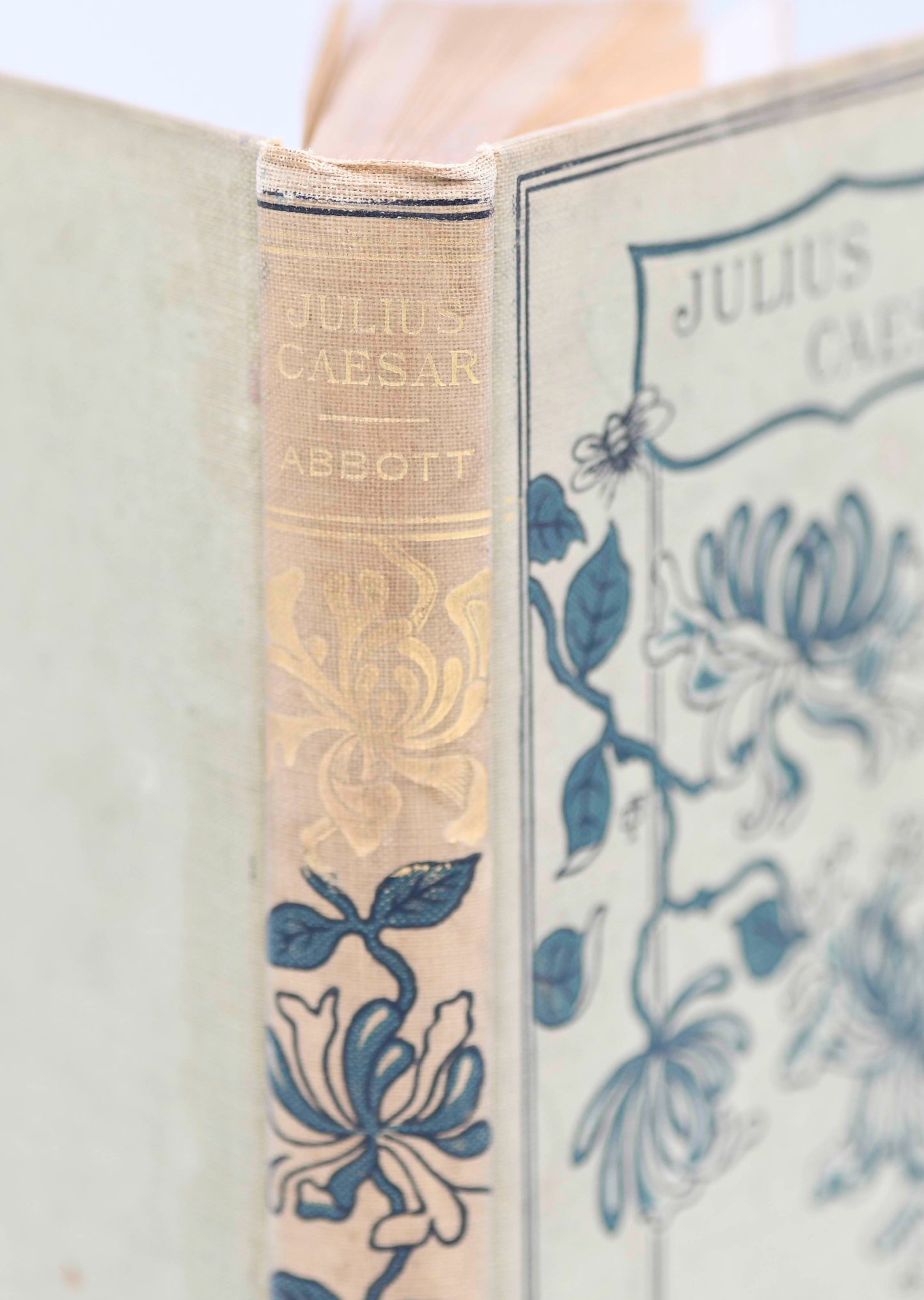 History of Julius Caesar by Abbott, 1890