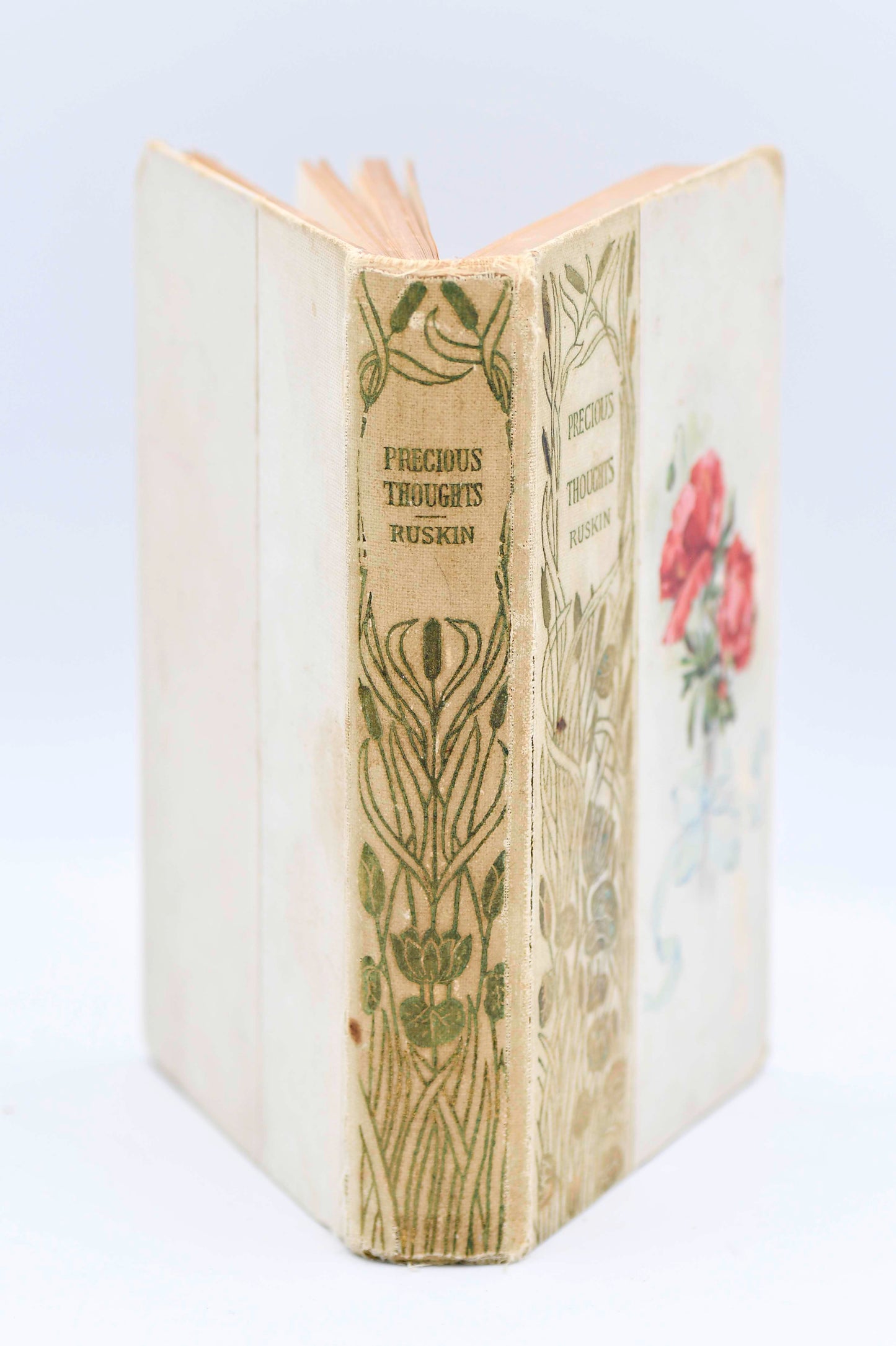 Precious Thoughts by John Ruskin, 1895