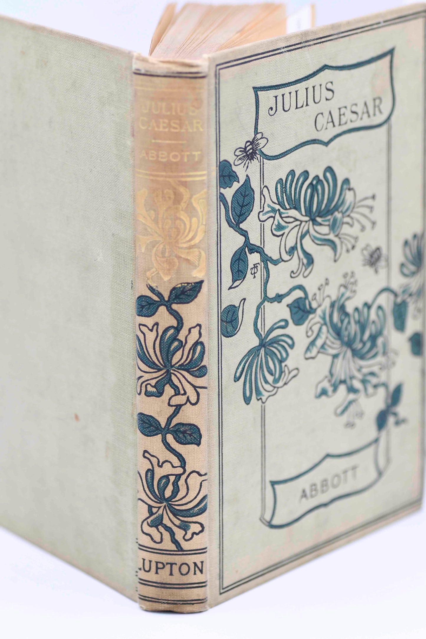 History of Julius Caesar by Abbott, 1890