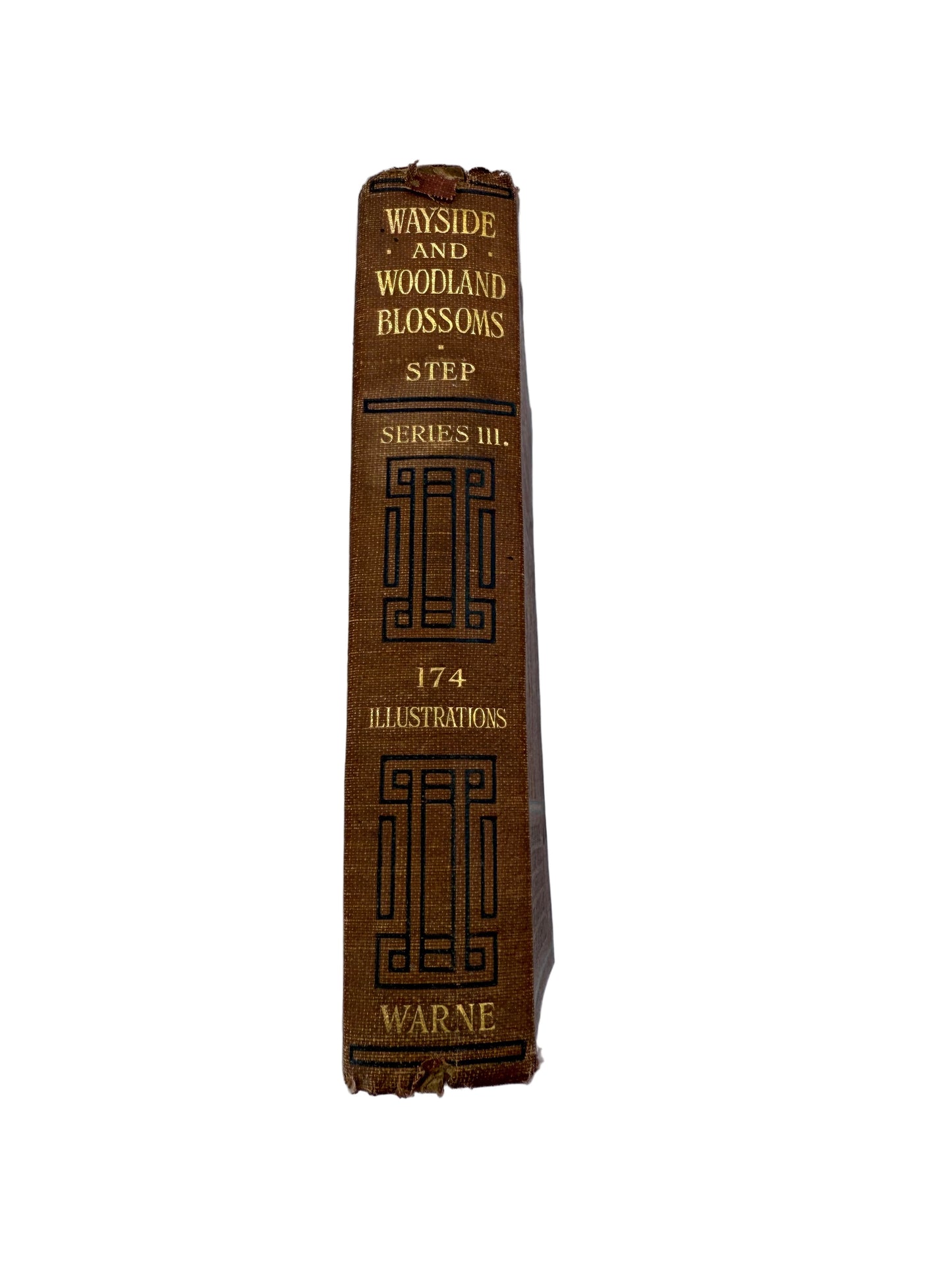 Vintage book with decorative cover on a white background