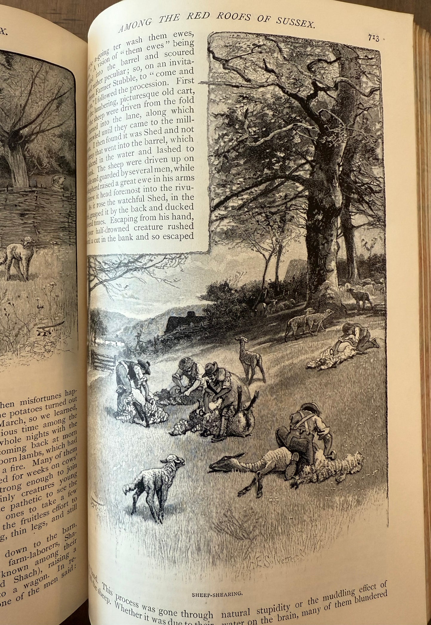The Century Illustrated Monthly Magazine, 1885 & 1886