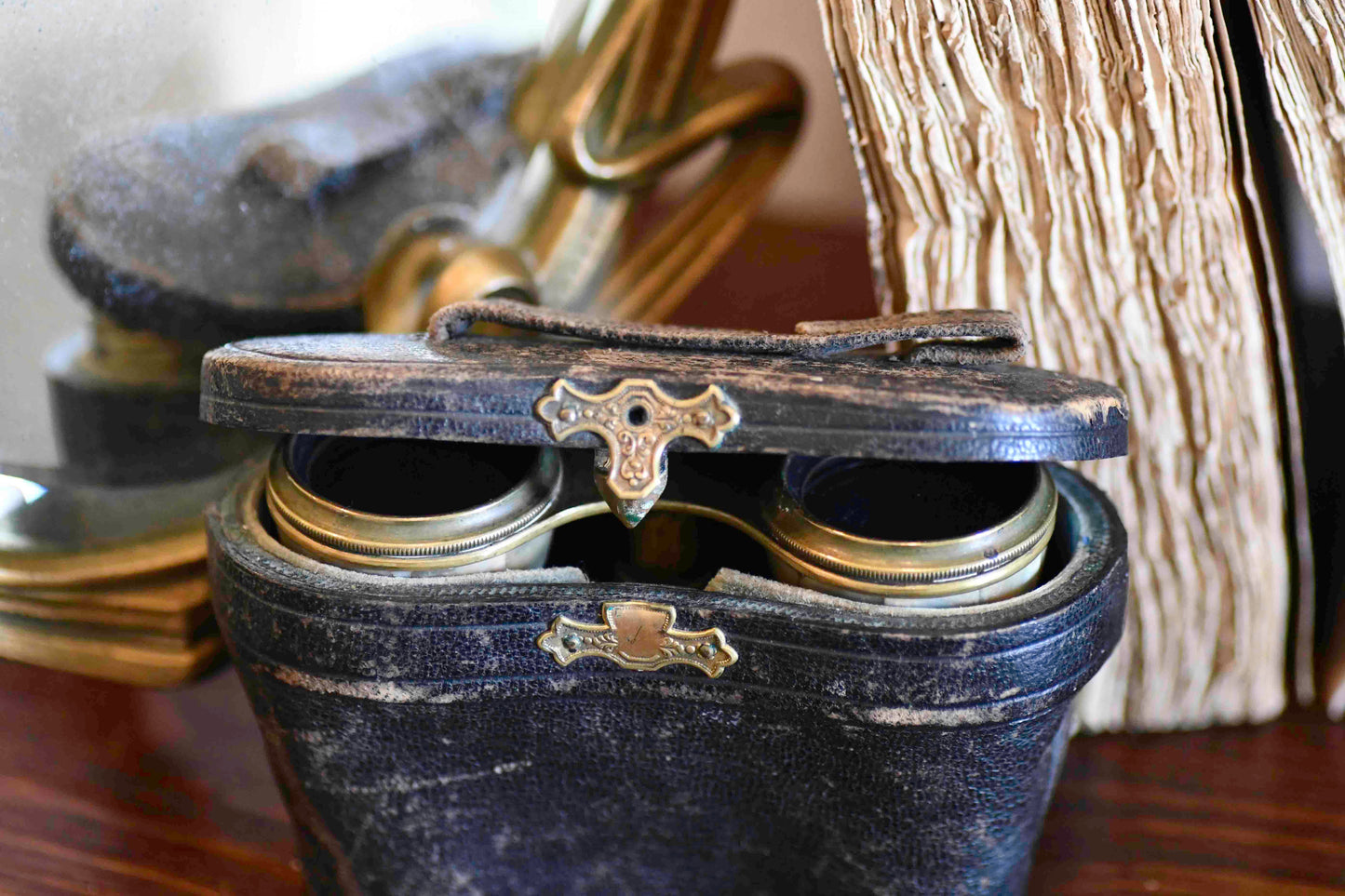 Antique French Opera Binoculars with Case, Sejour Brand