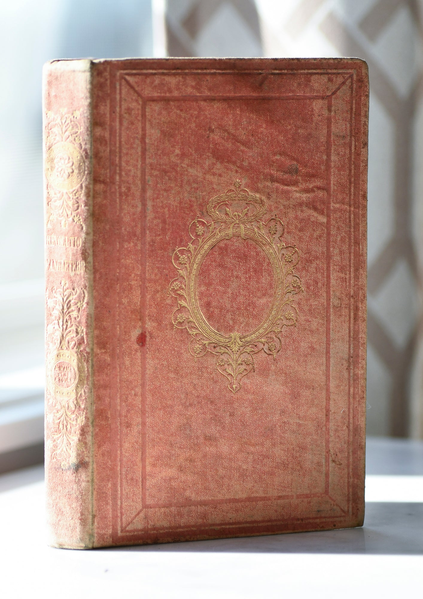 Revolution of 1688 in England, French Cartonnage Book