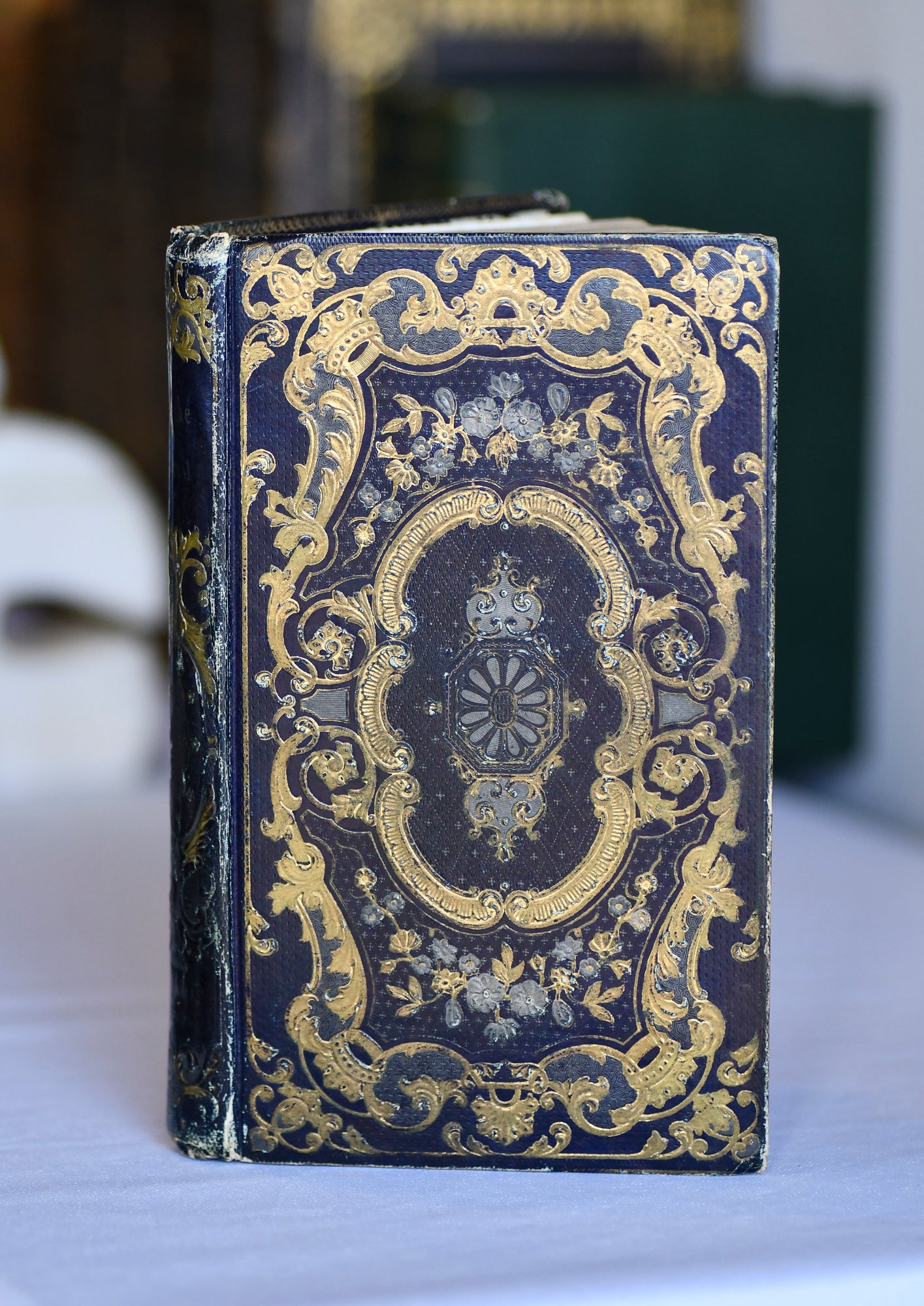 The Psyche of Young People, French Cartonnage Book