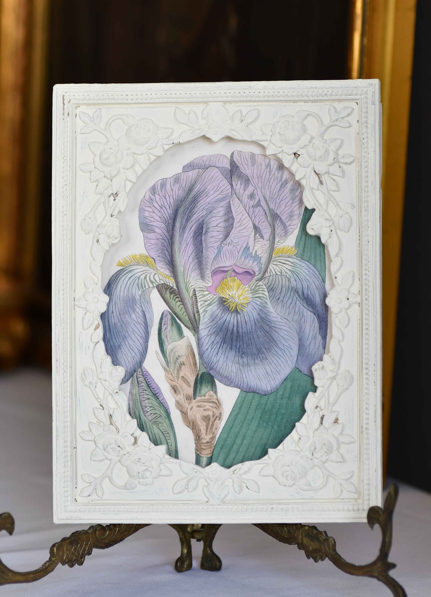Purple Iris Framed Print, 8.5"