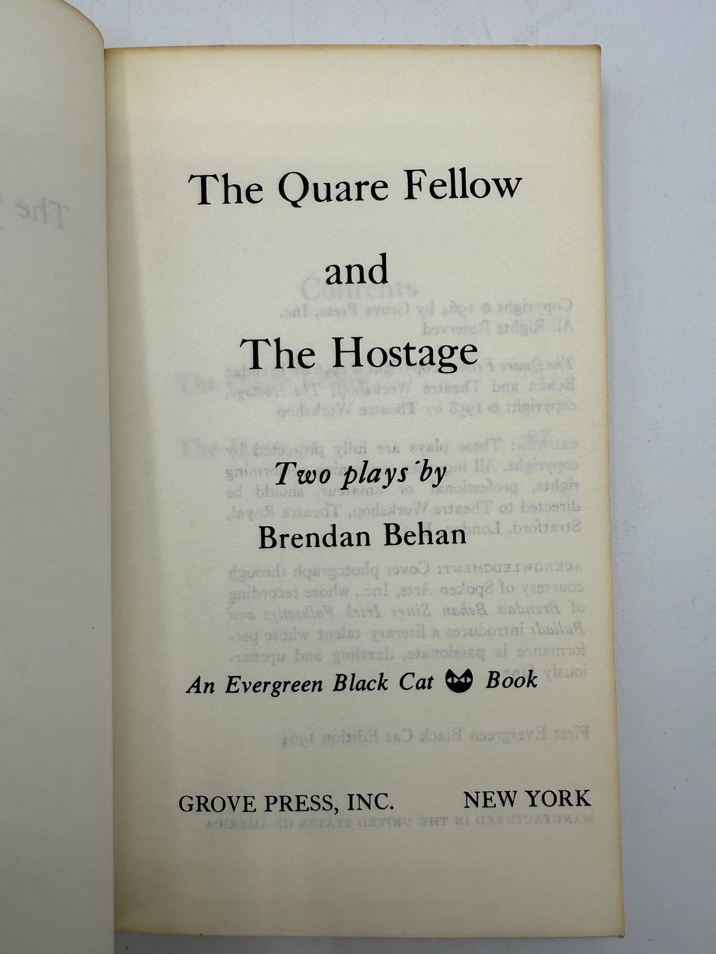 Vintage Paperback Bookshelf Display Lot, Woolf, Wharton