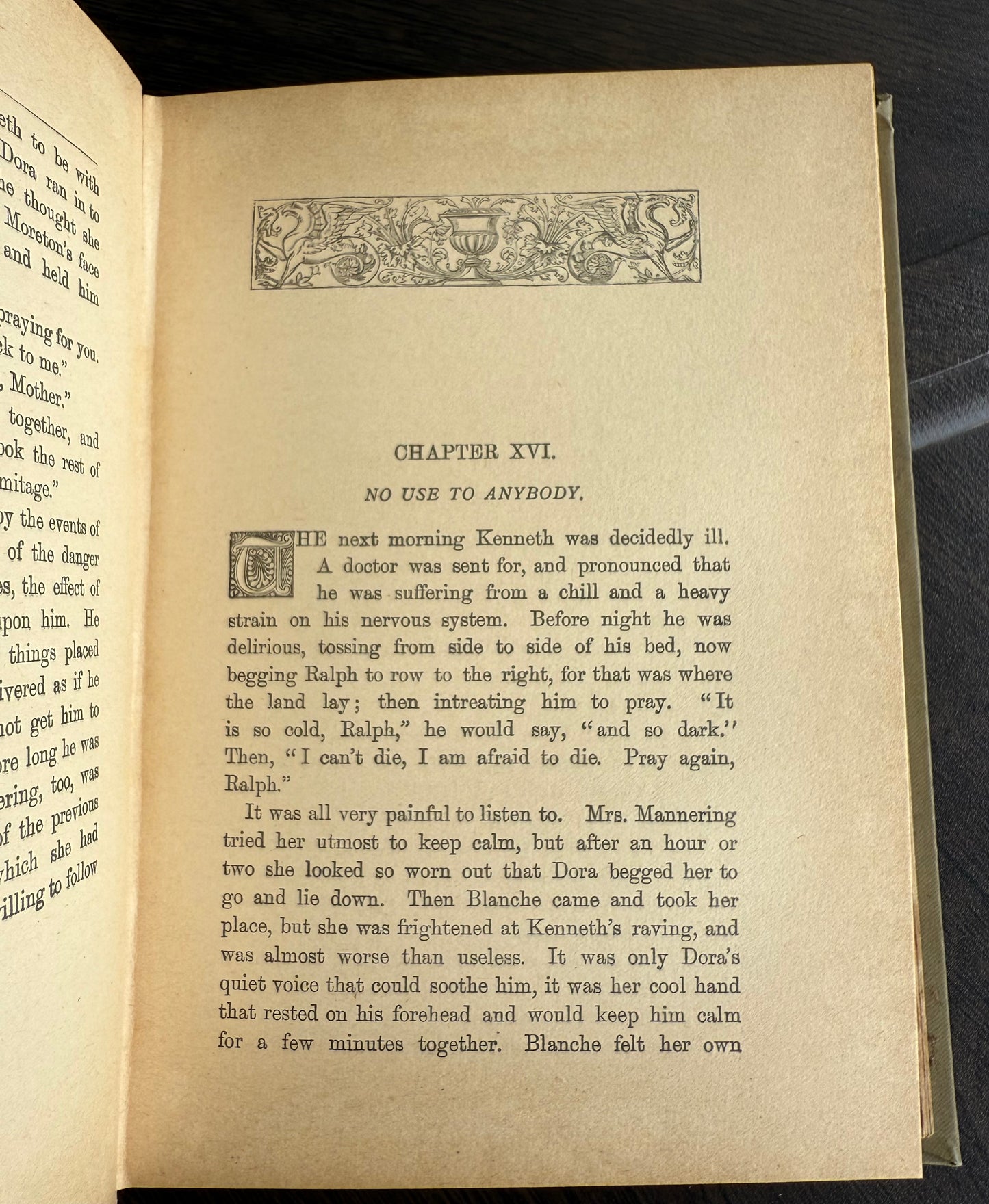 Cousin Dora by Emily Brodie, Antique Floral Book, London